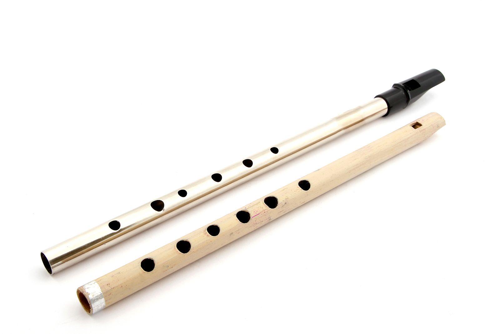 Tin Whistle Page: History of the Irish Penny Whistle. Celtic