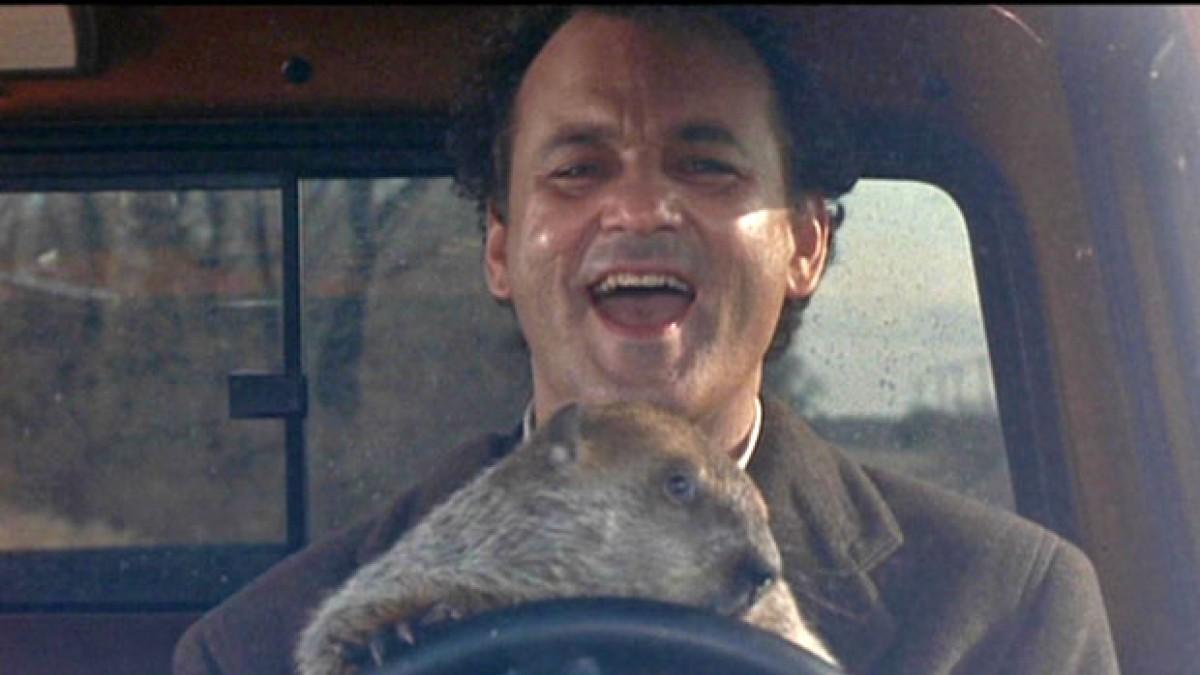 Bill Murray Reenacts 'Groundhog Day' By Going To See 'Groundhog Day