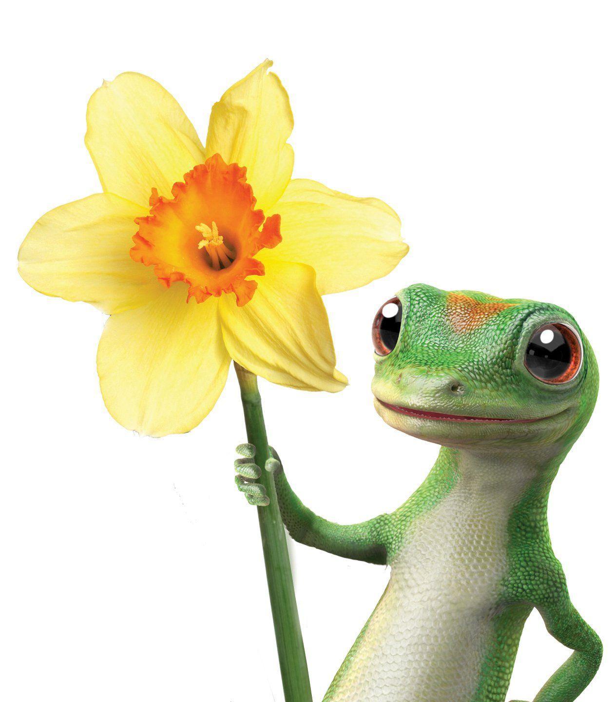 geico gecko. Which GEICO Mascot is Your Favorite?