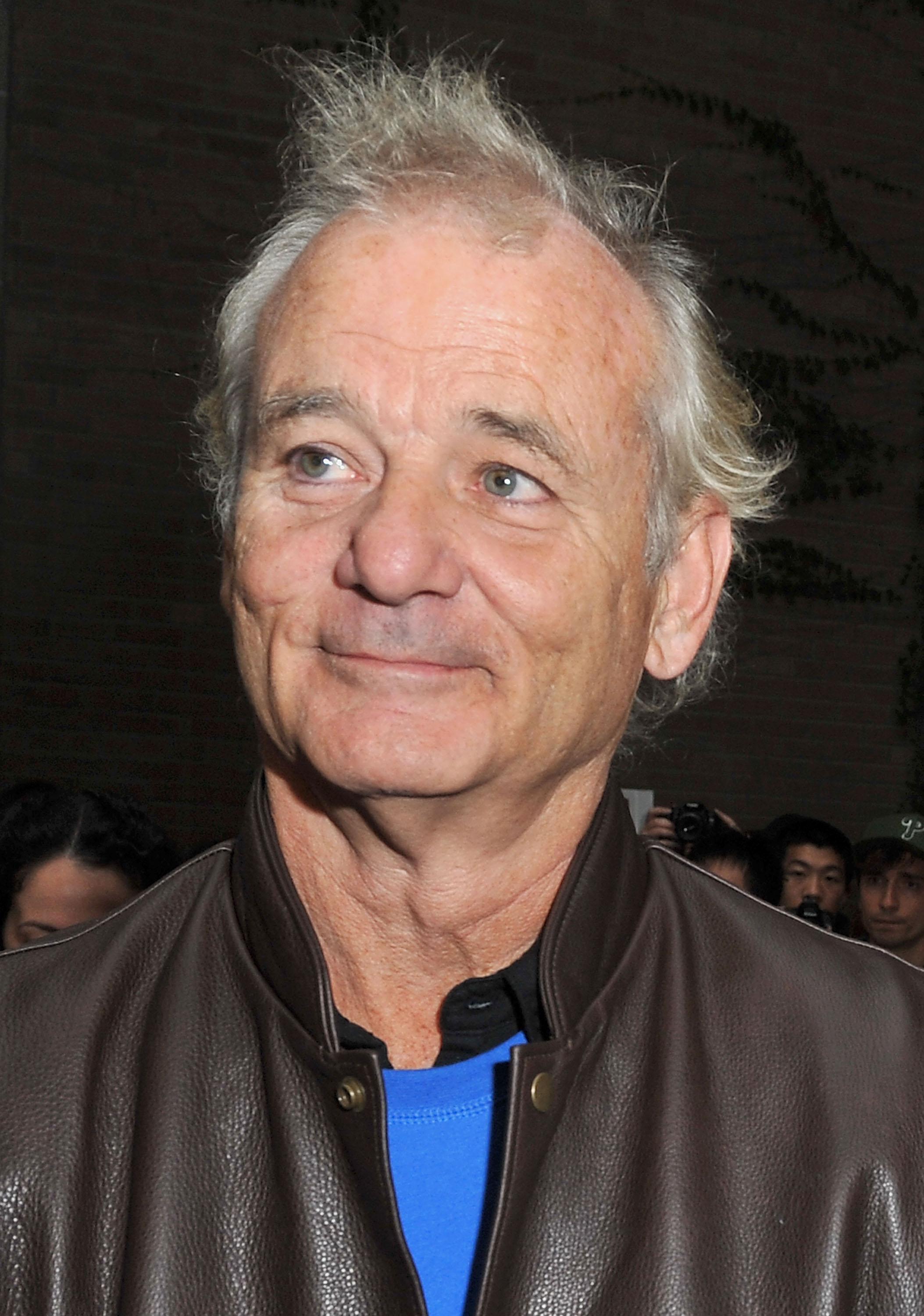 Celebrities Desktop Wallpaper 926145 Bill Murray Pics