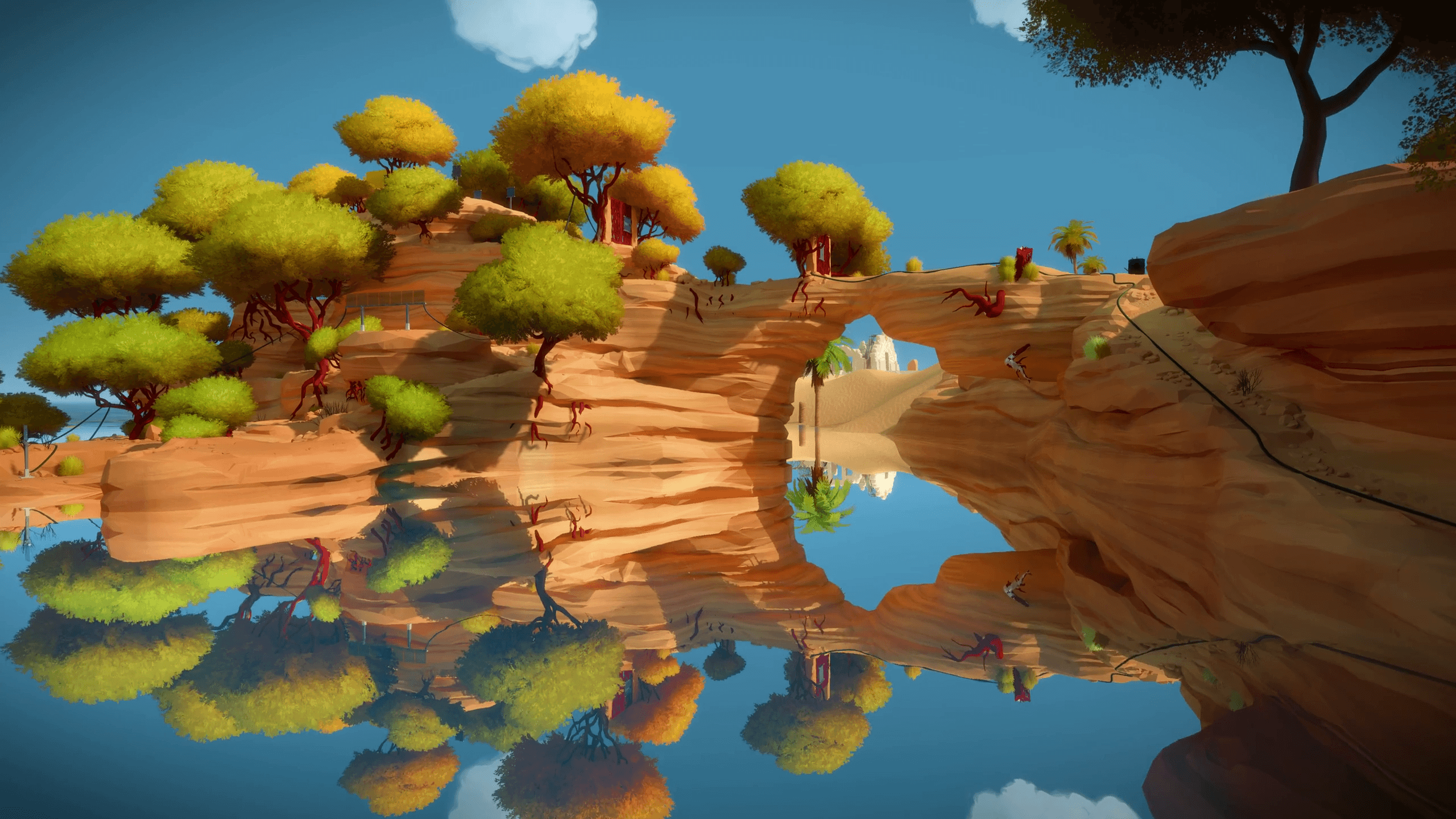 The Witness HD Wallpaper