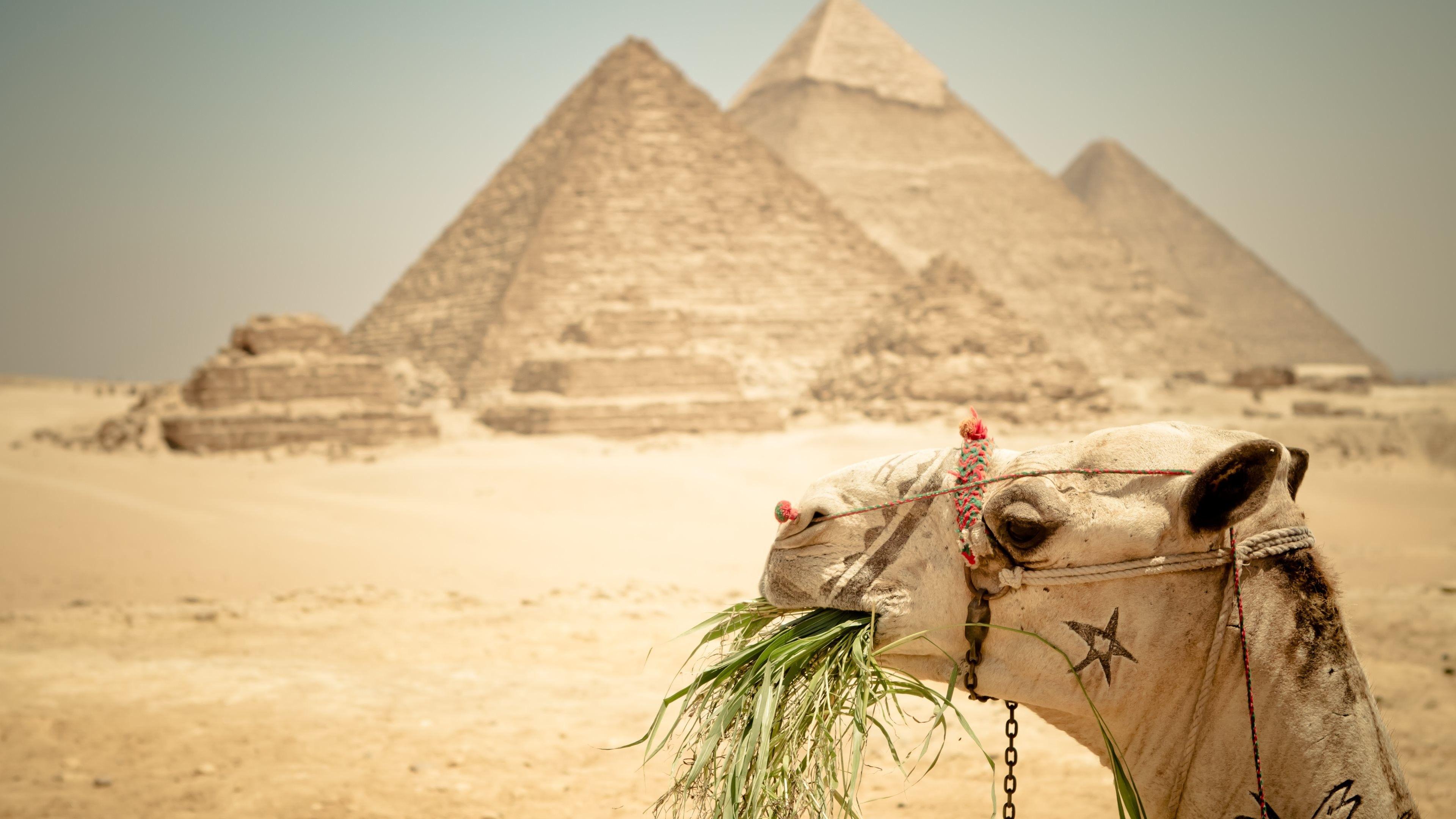 Egyptian Pyramids Wallpaper Free Egyptian Pyramids