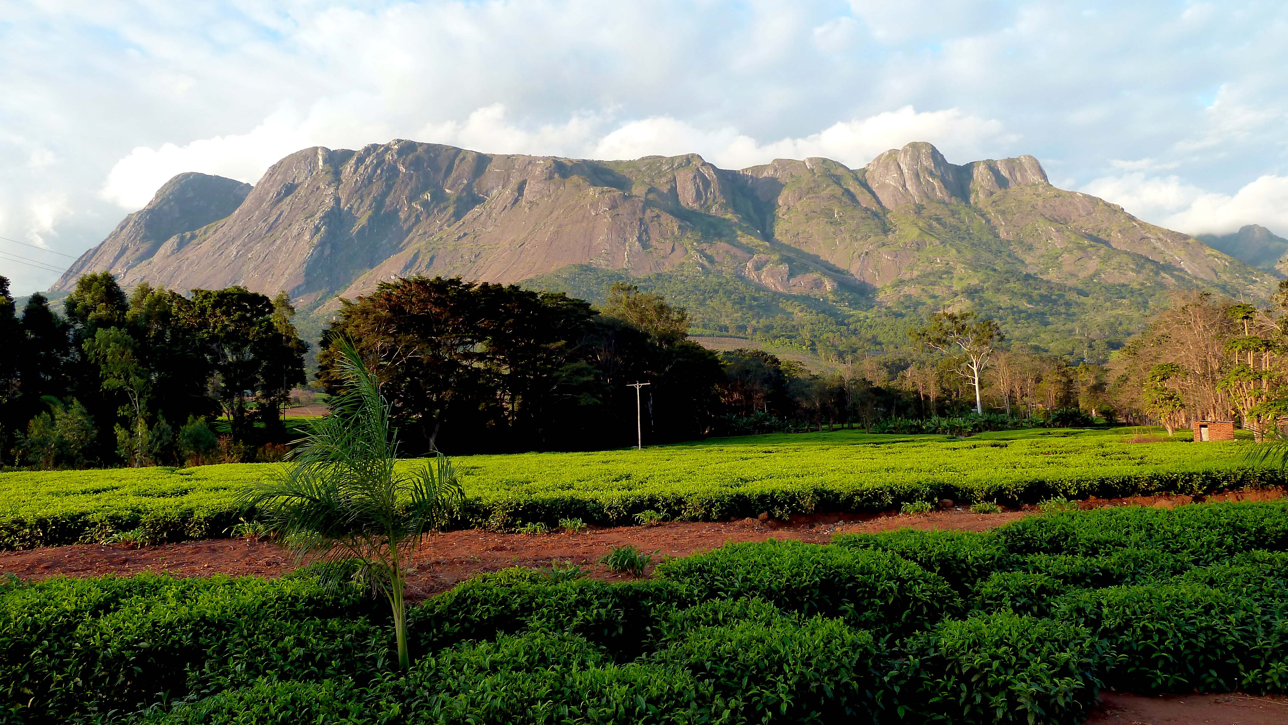 The Páramo of Malawi