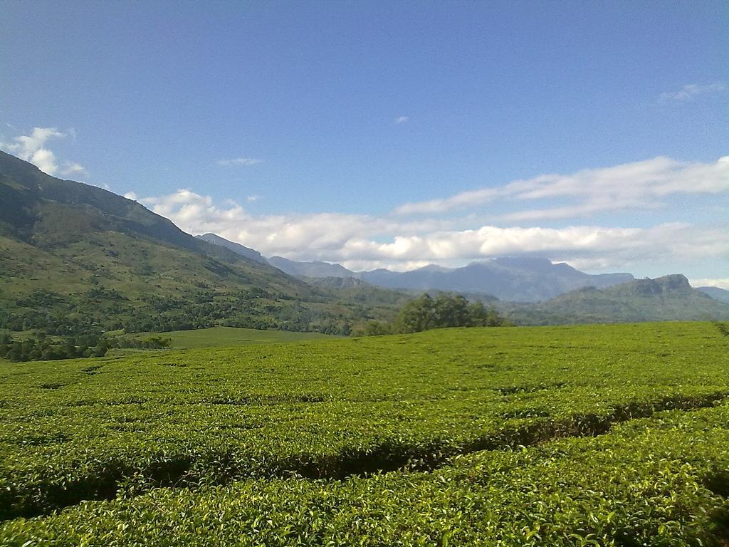 Bakery in Mulanje, Malawi