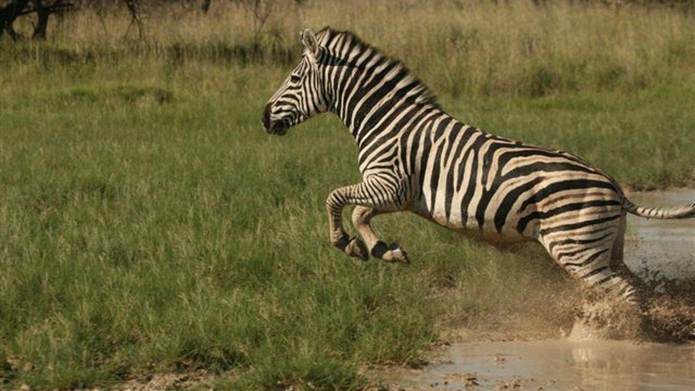 Nxai Pan in Nxai Pan National Park, Botswana