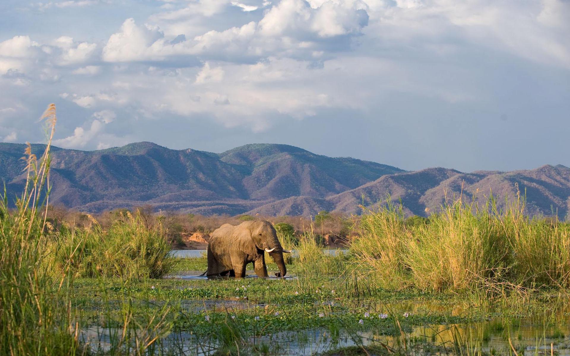 Index Of Assets Image 1920x600 Other Destinations Lower Zambezi