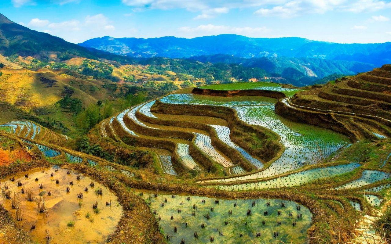 Adventure. Banaue rice terraces