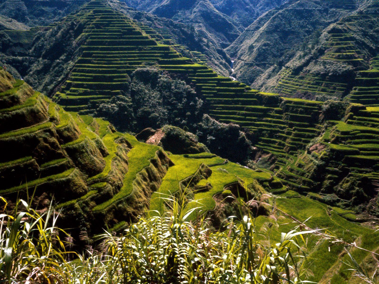 image of Banaue Rice Terraces Wallpaper - #CALTO