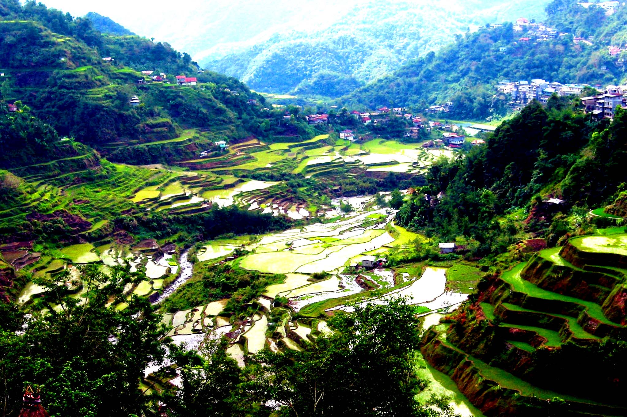 Rice Terraces Wallpaper High Quality