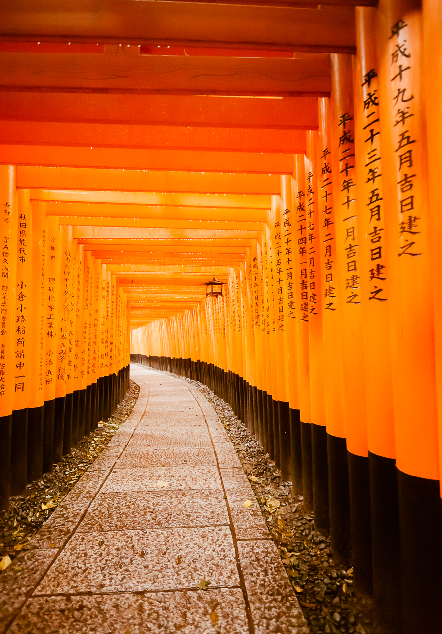 Torii Gates In The Rain At Fushimi Inari Taisha, Kyoto Japan