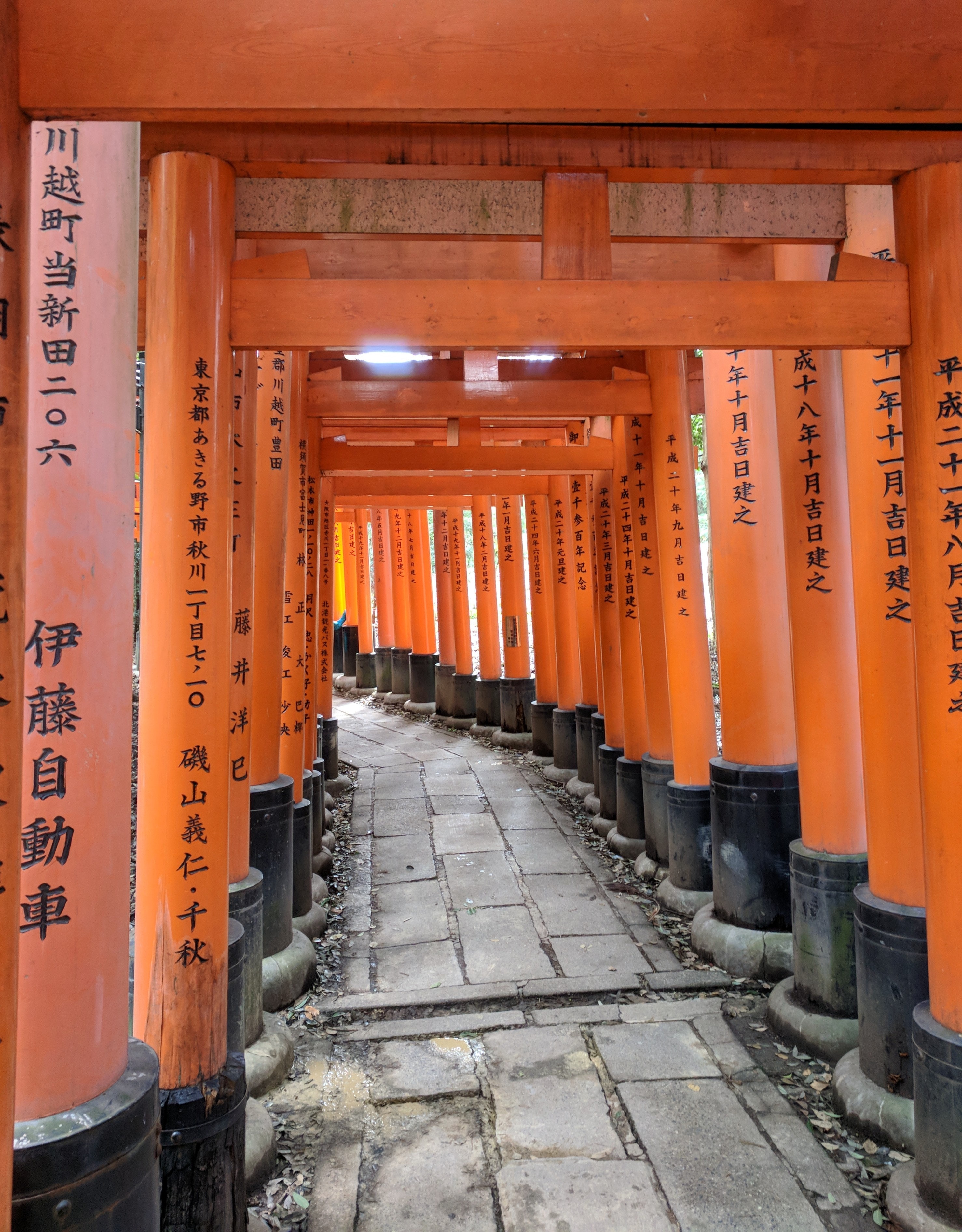 Free Of Fushimi Inari Taisha, Japanese Temple Gates, Torri