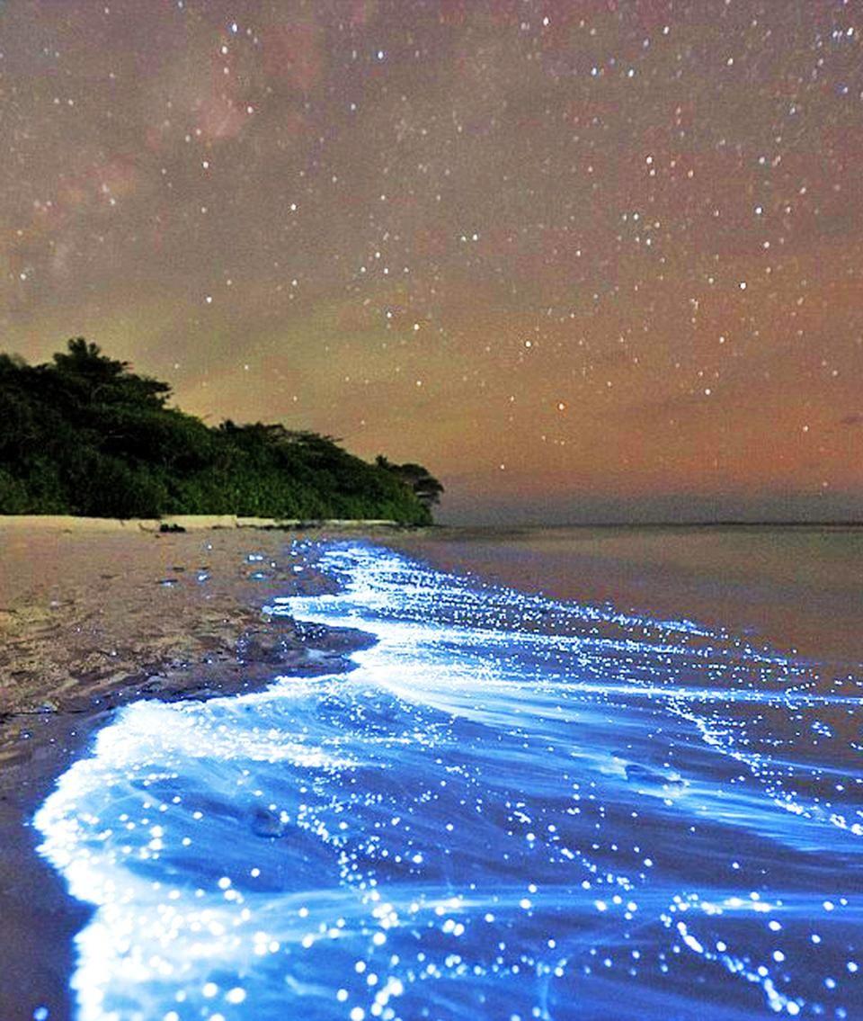 Sea Of Stars, Vaadhoo Island. Beautiful places and things in 2019