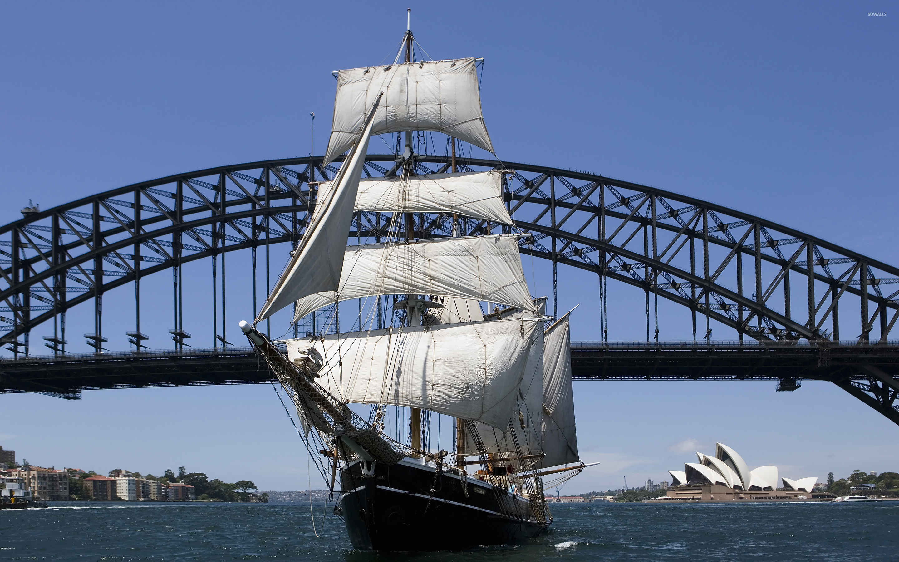 Sailboat under Sydney Harbour Bridge wallpaper wallpaper