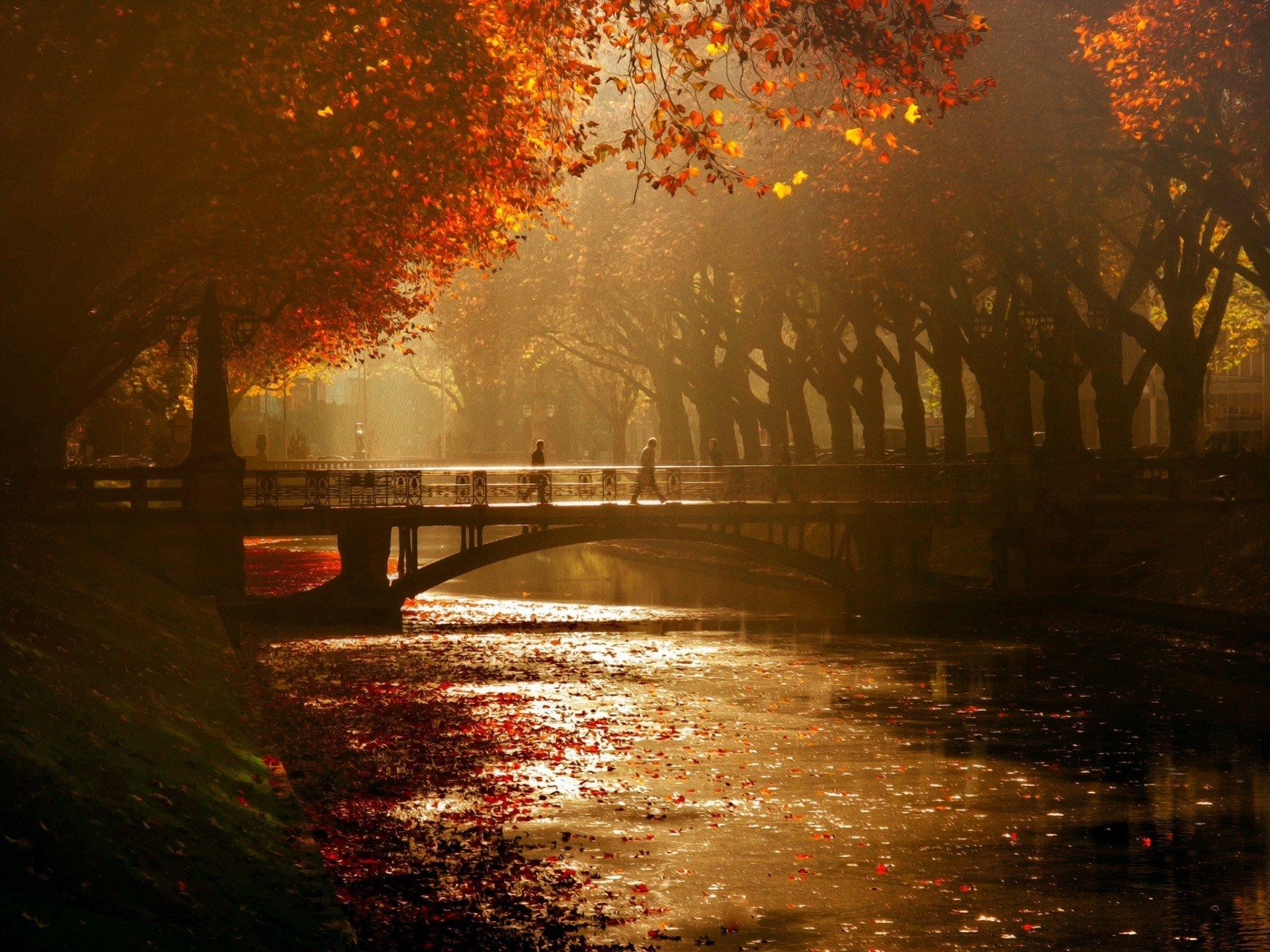 königsallee bridge dusseldorf HD wallpaper