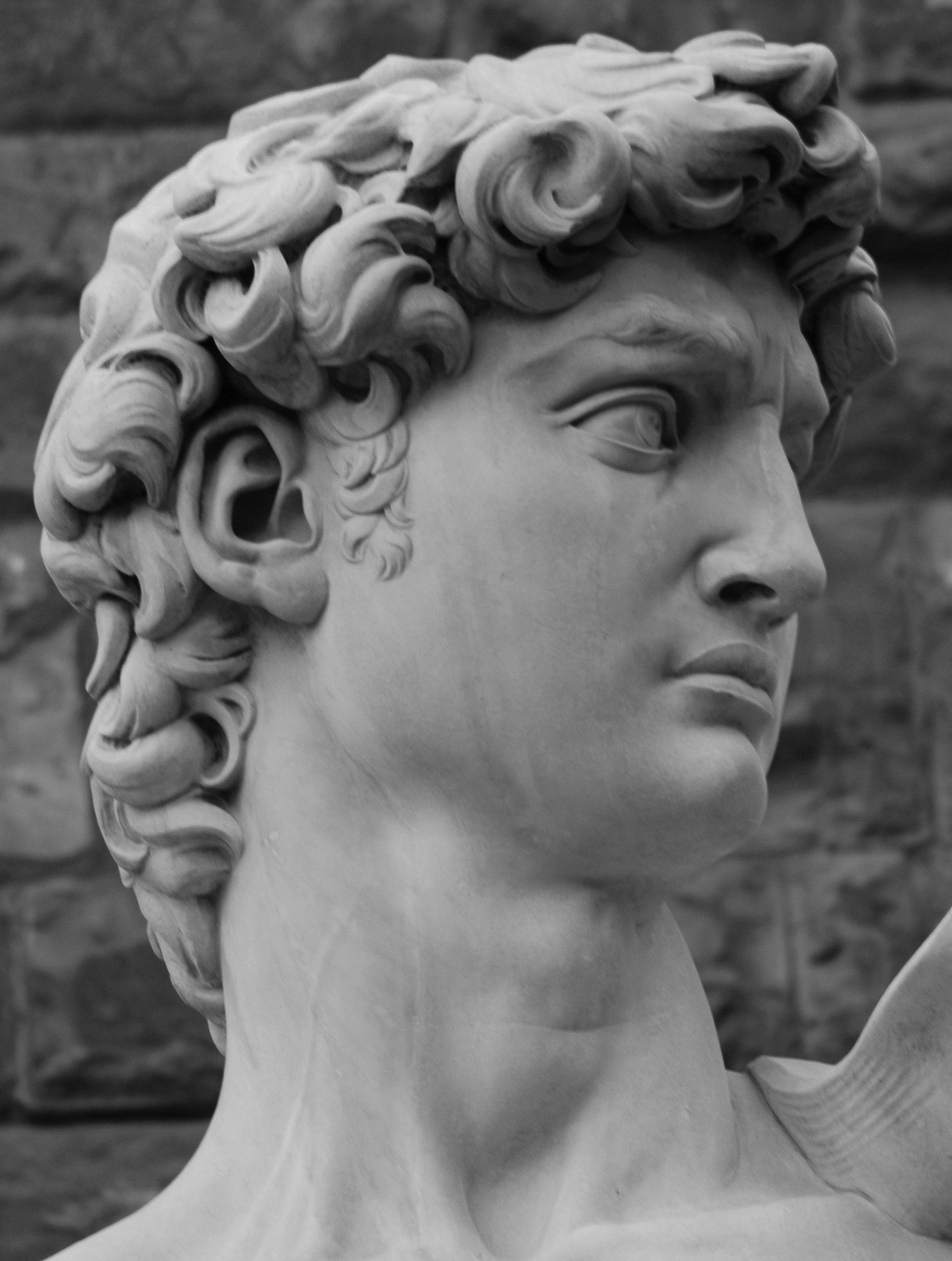 michelangelo david face - Поиск в Google. Hercules. Sculpture art