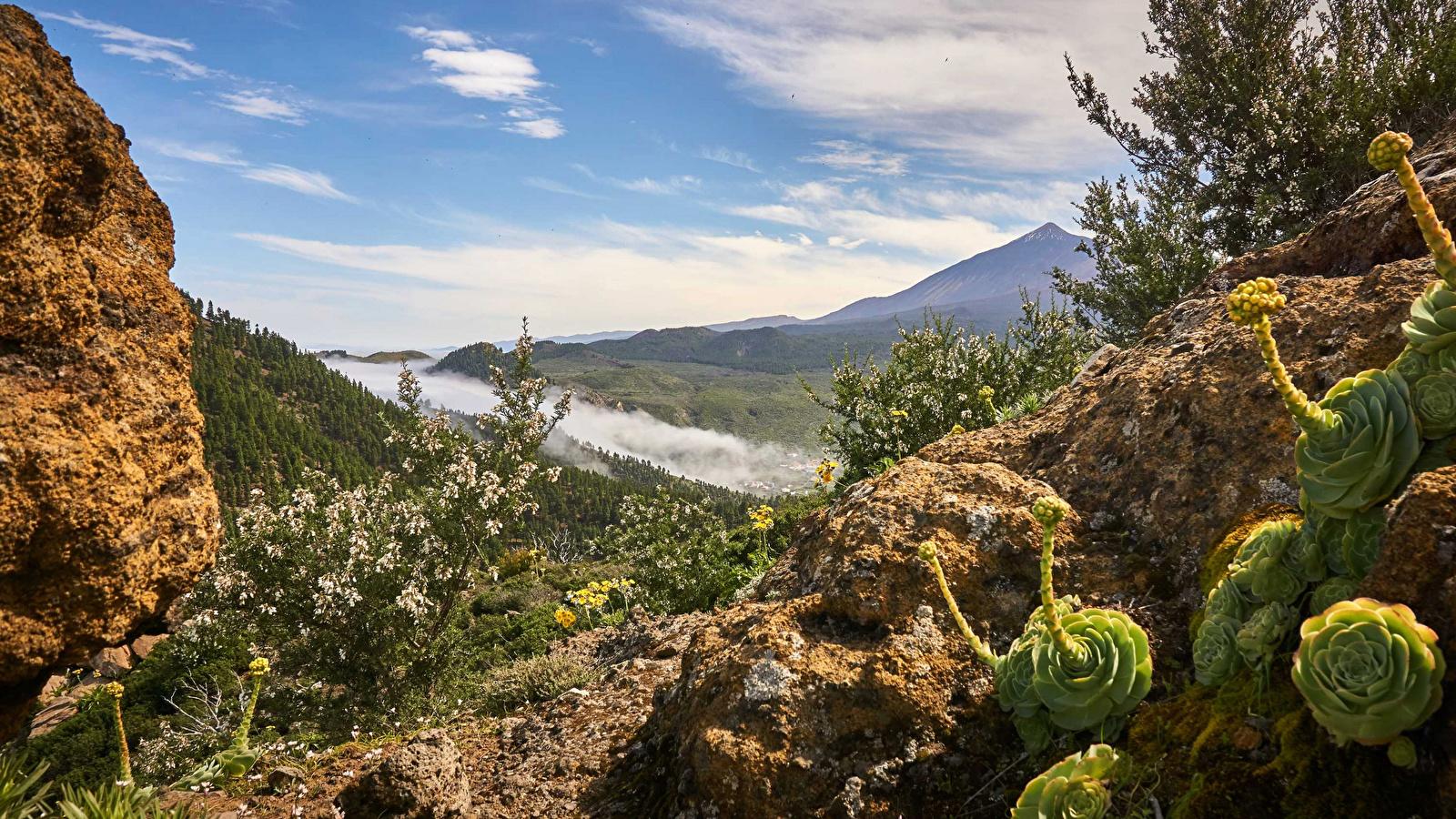 Wallpaper Canary Islands Spain Tenerife Nature Sky 1600x900