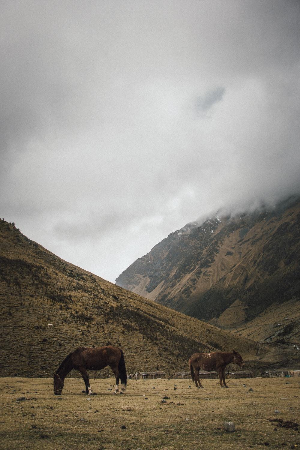 HQ Cusco, Peru Picture. Download Free Image