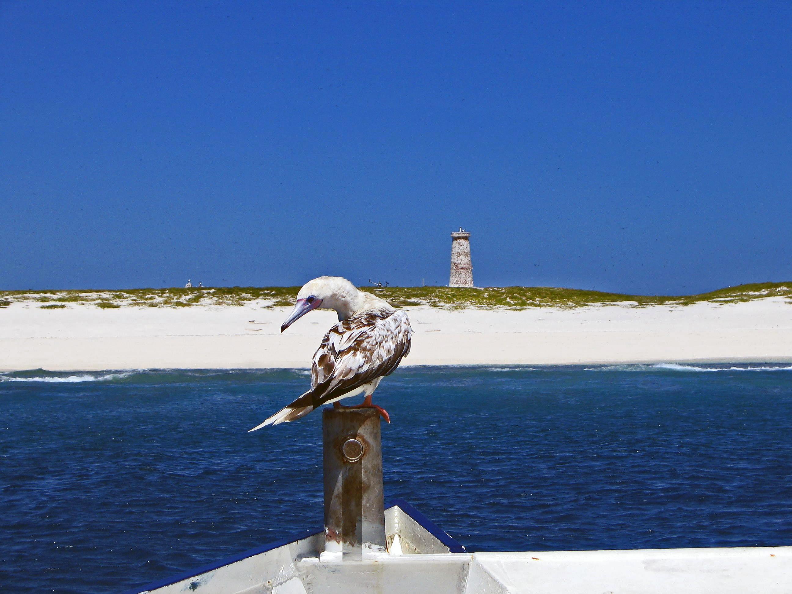 Because Bird Poop: How the U.S. Acquired Its Territories That Aren't