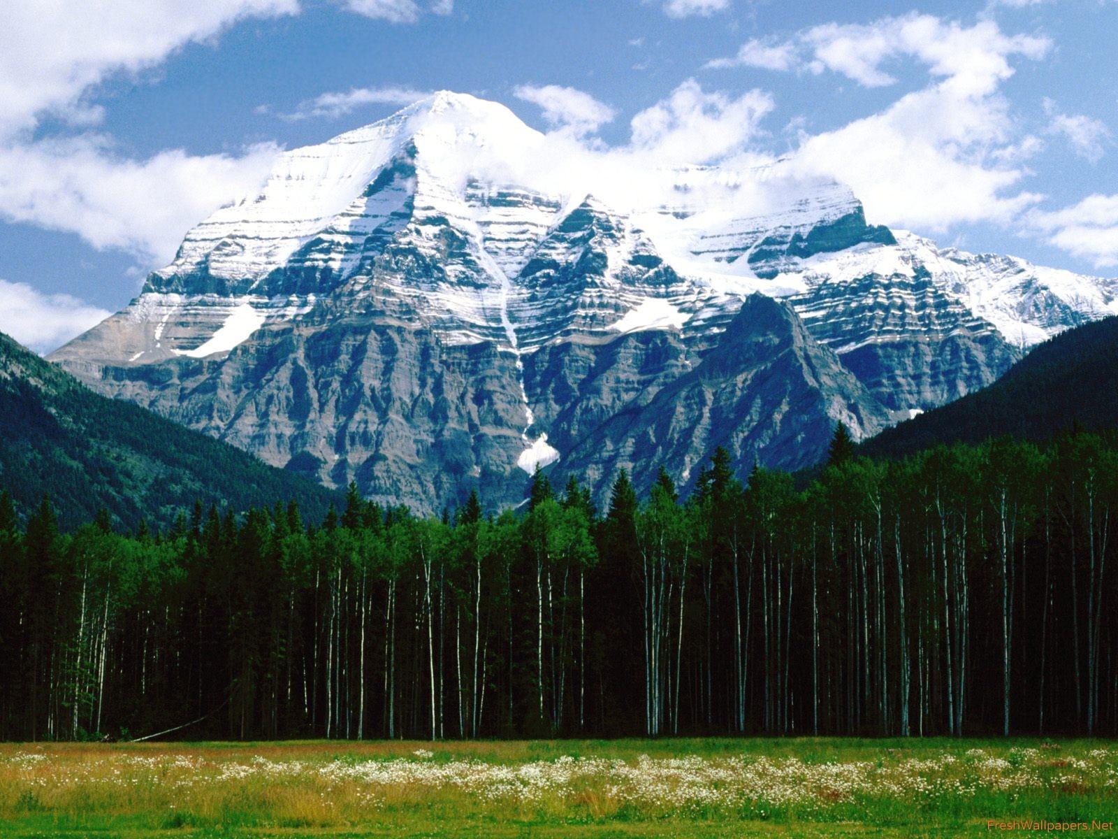 Mt. Robson, Canadian Rockies wallpaper