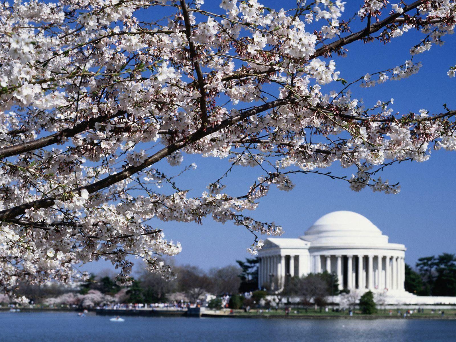 Jefferson Memorial, Washington DC, United States. Popular Vacation