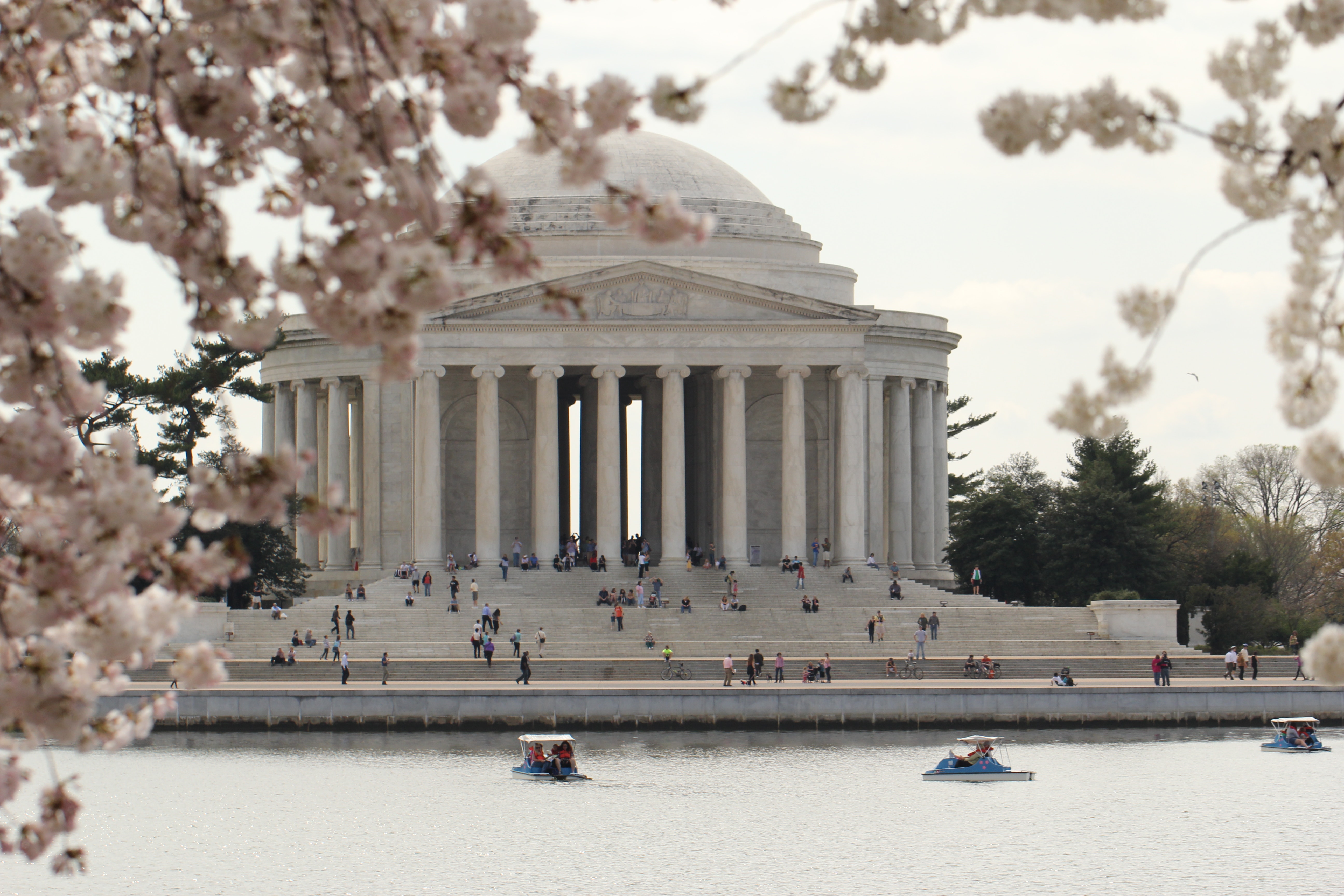 Free of cherry blossoms, jefferson memorial, monument