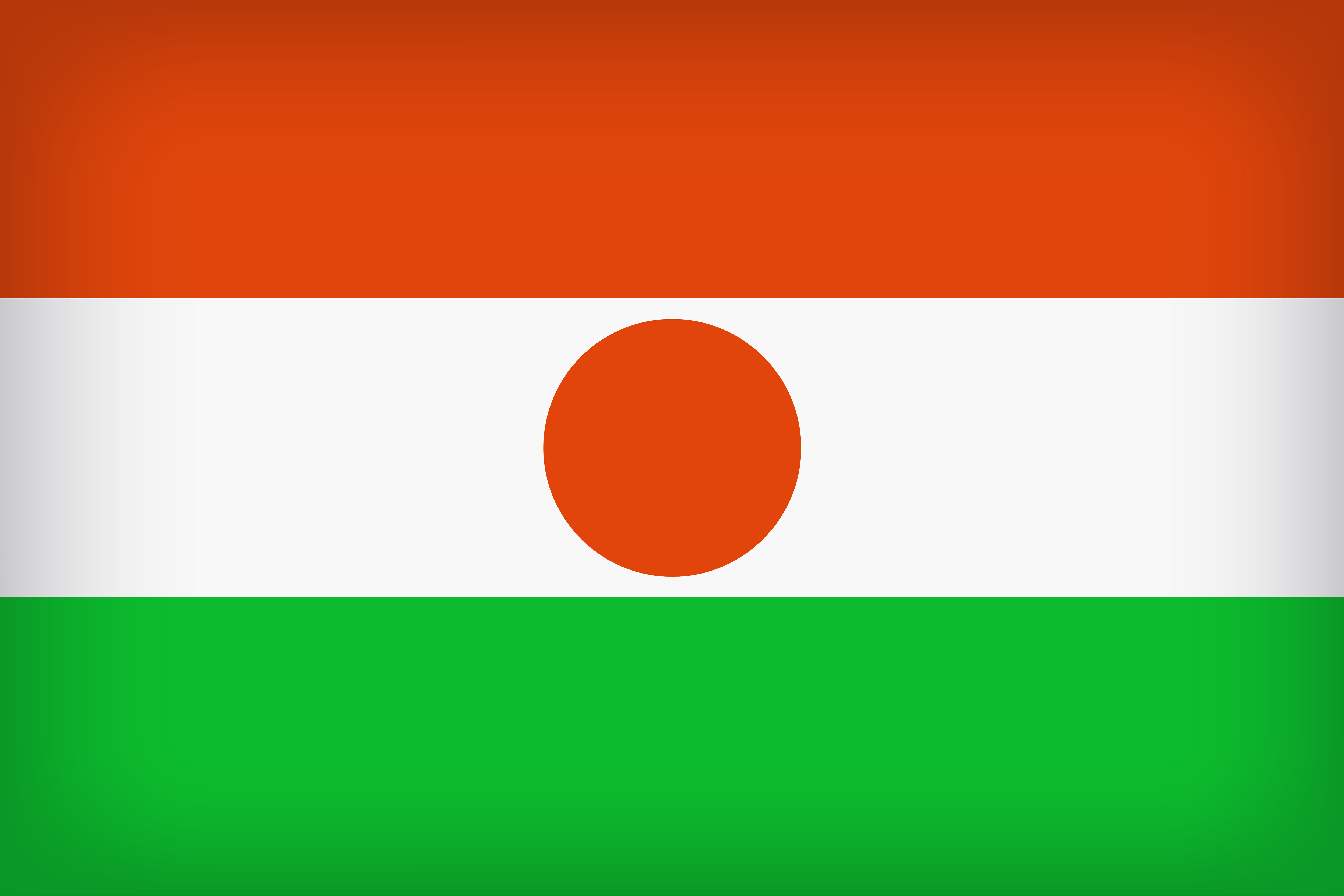 Niger Large Flag Quality Image