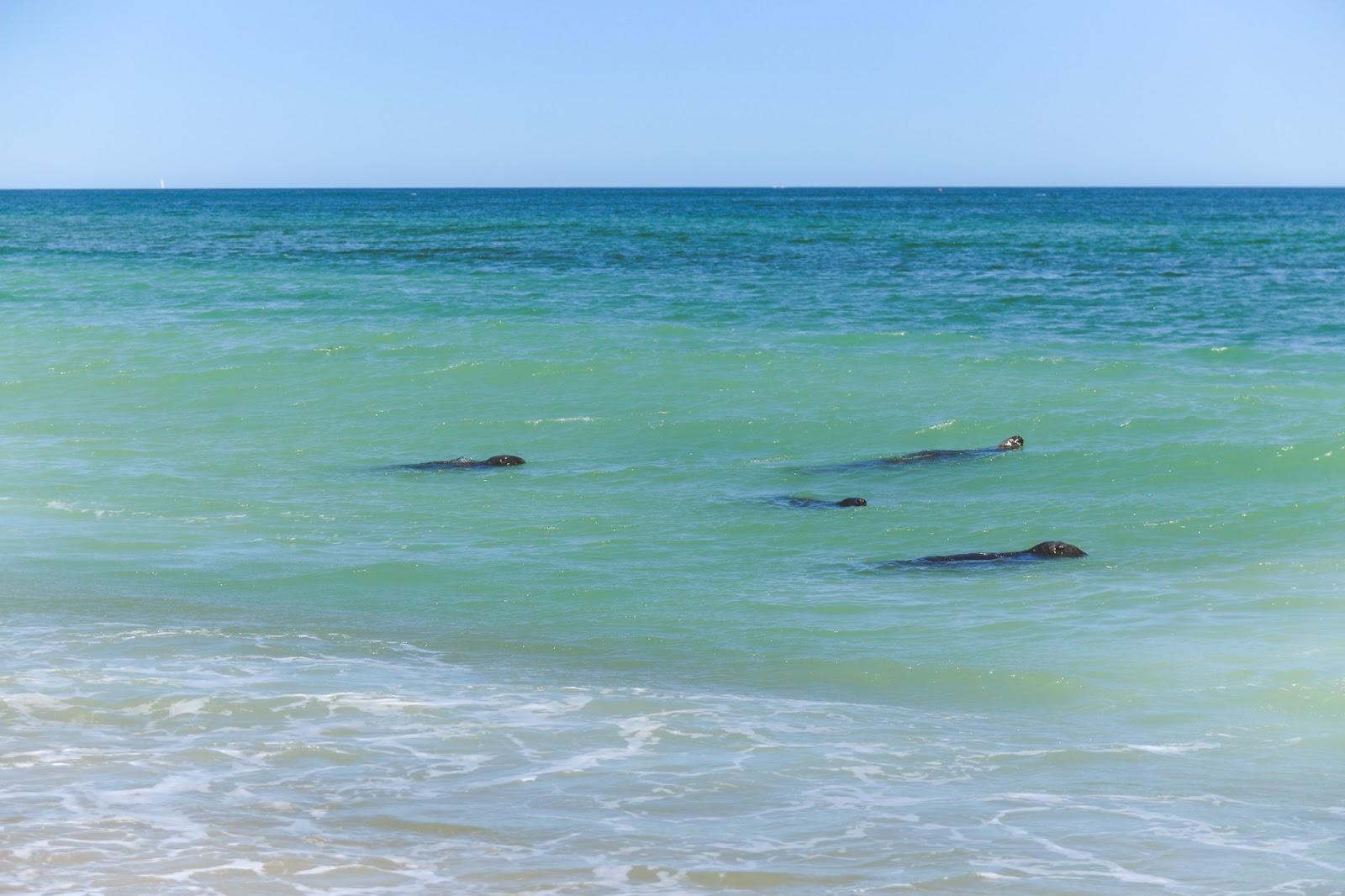 The Natural Beauty of the Cape Cod National Seashore. The Journey