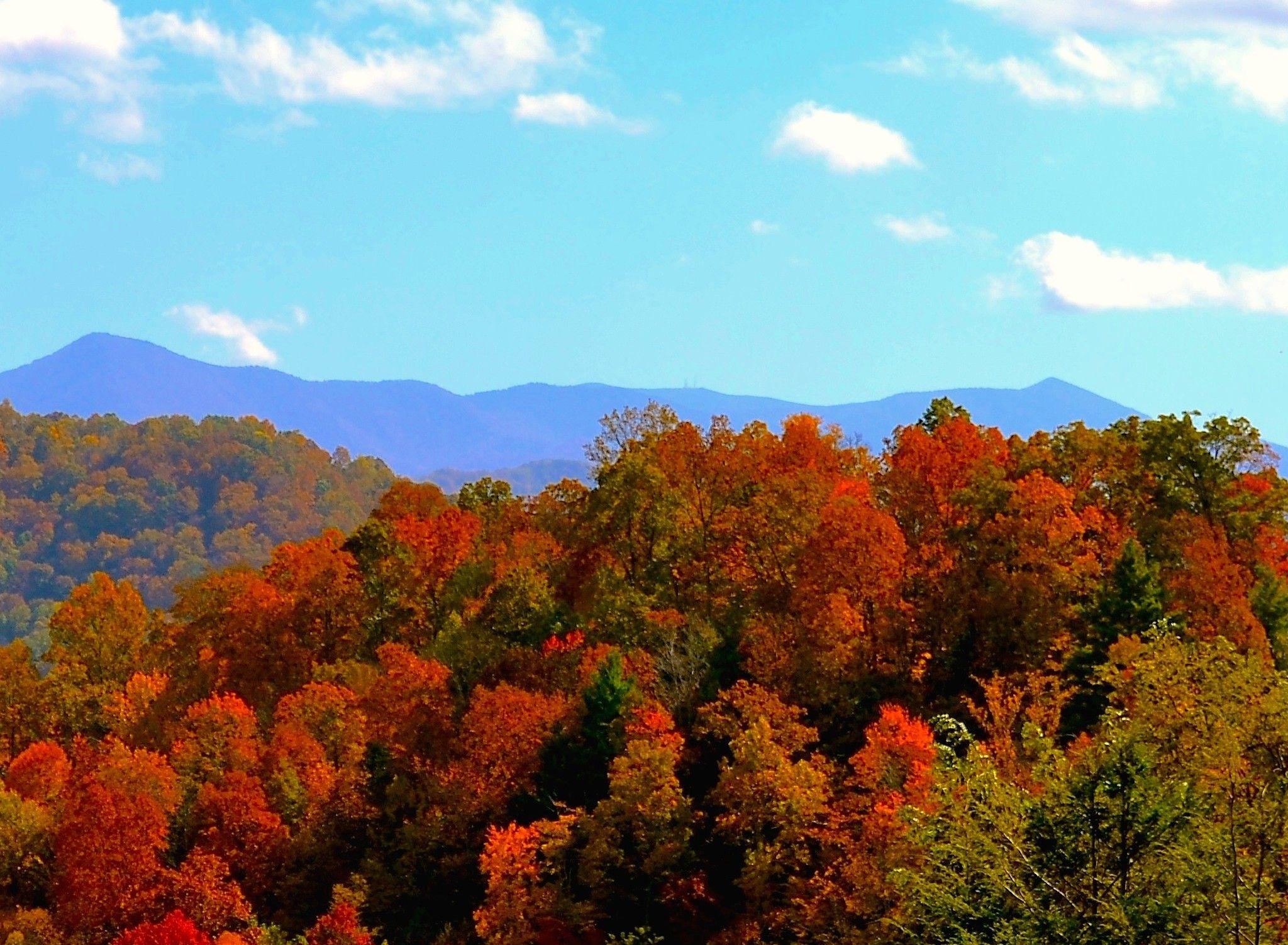 Autumn NC Mountains Wallpaper Free Autumn NC Mountains