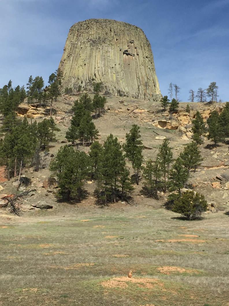 Devils Tower & Black Hills of Wyoming