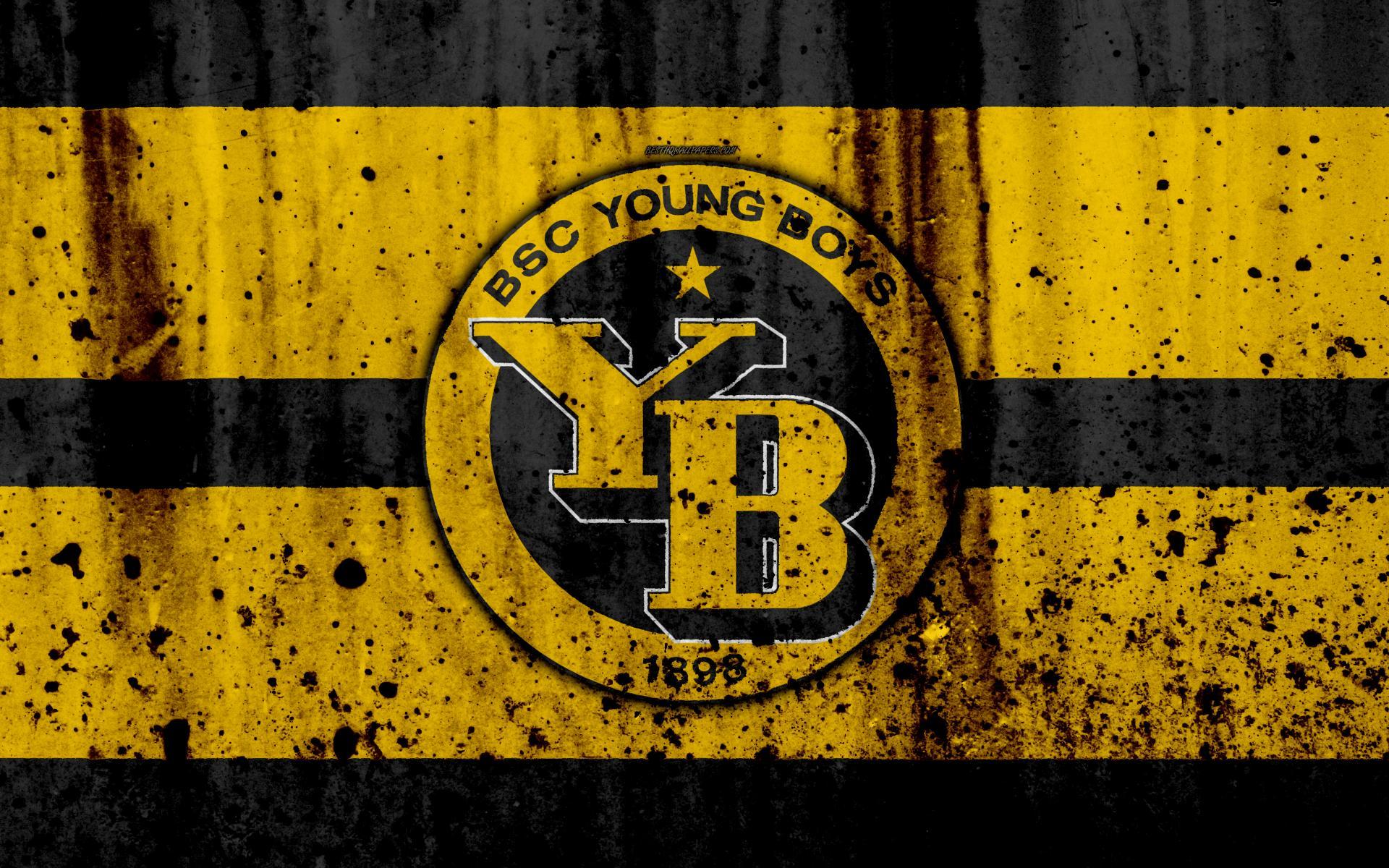 BSC Young Boys Wallpaper 12 X 2400