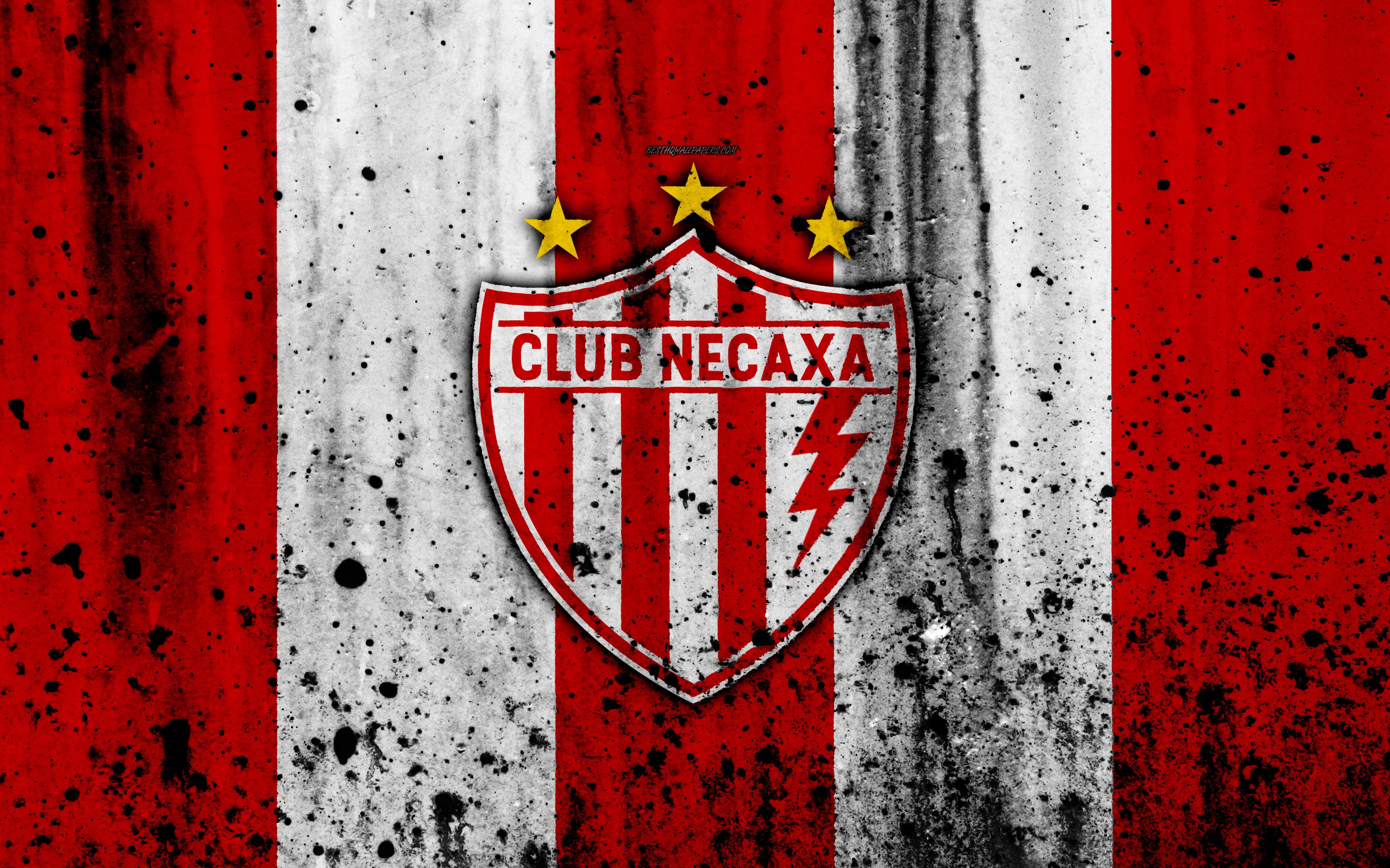 Download wallpaper 4k, FC Necaxa, grunge, Liga MX, soccer, art