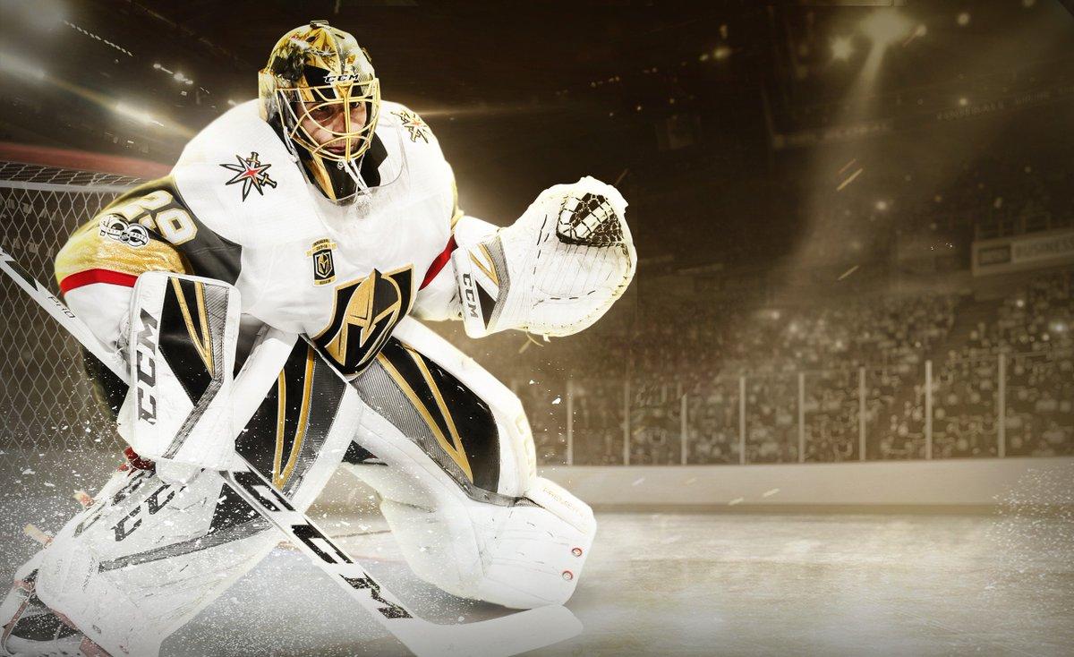 Ferry Designs Andre Fleury Custom NHL Cover