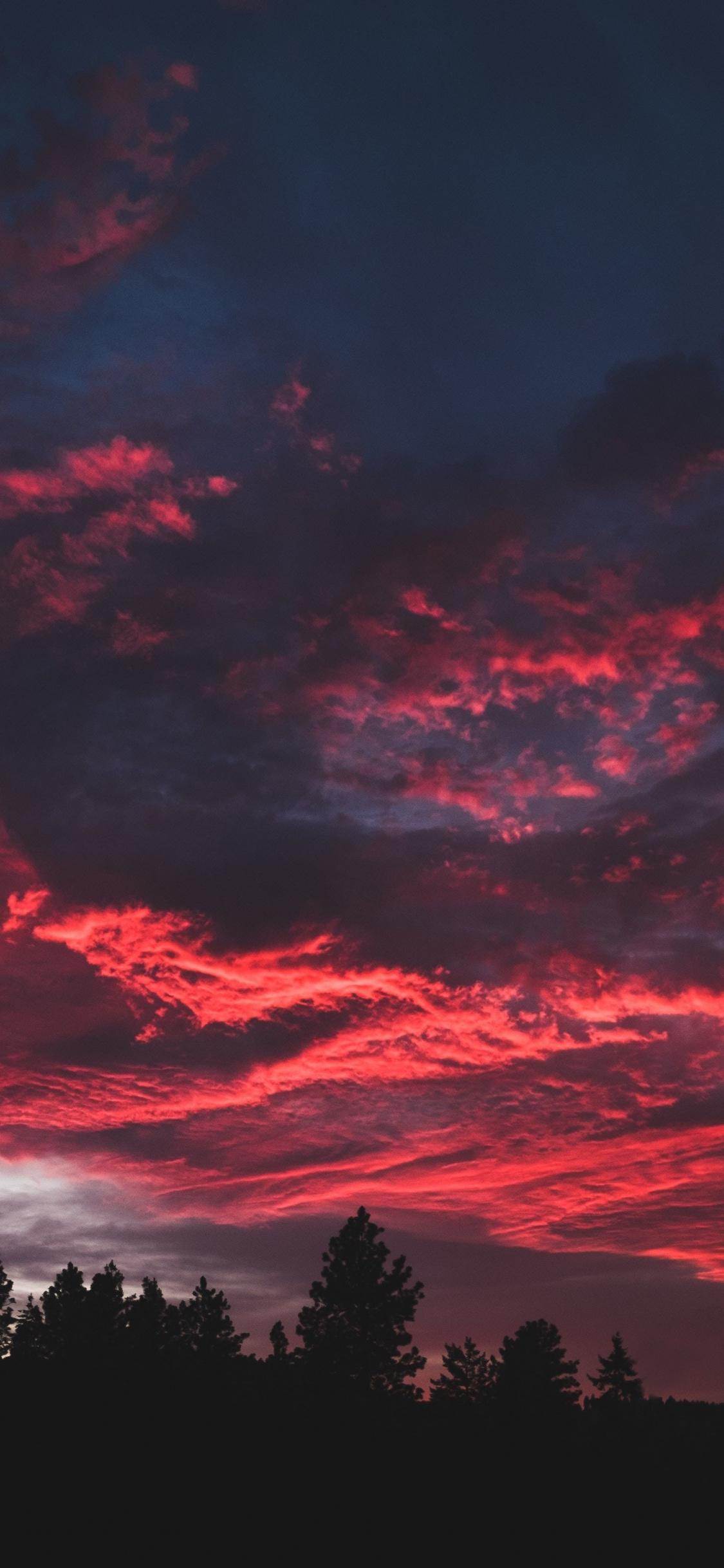 Download 1125x2436 wallpaper colorful, clouds, sunset, dark, tree