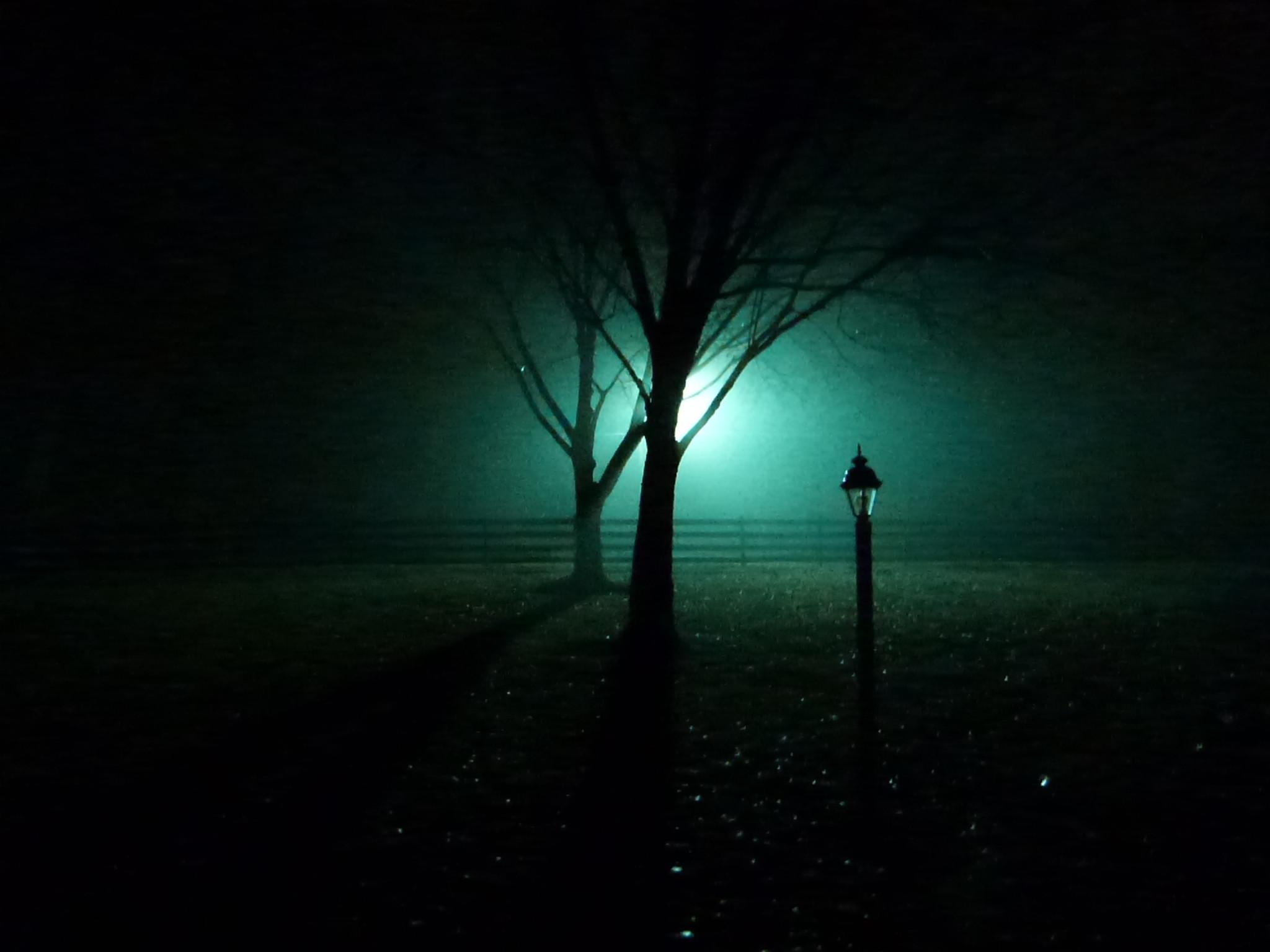 Foggy Night [2048x1536]