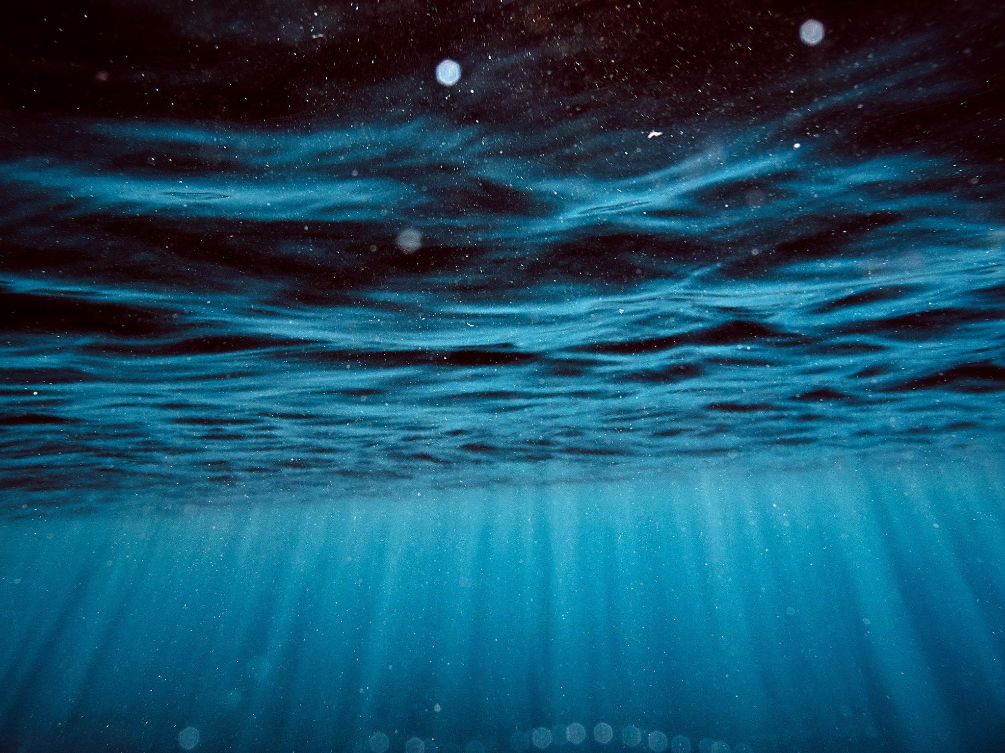 Underwater HD Wallpaper