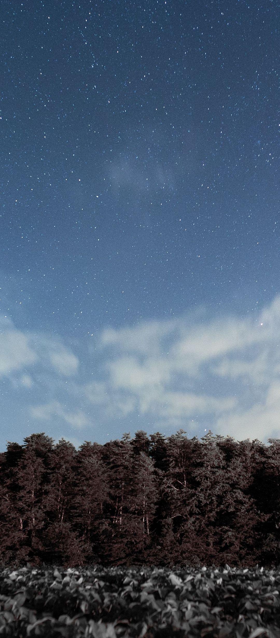 Trees Sky Stars Clouds - [1080x2460]