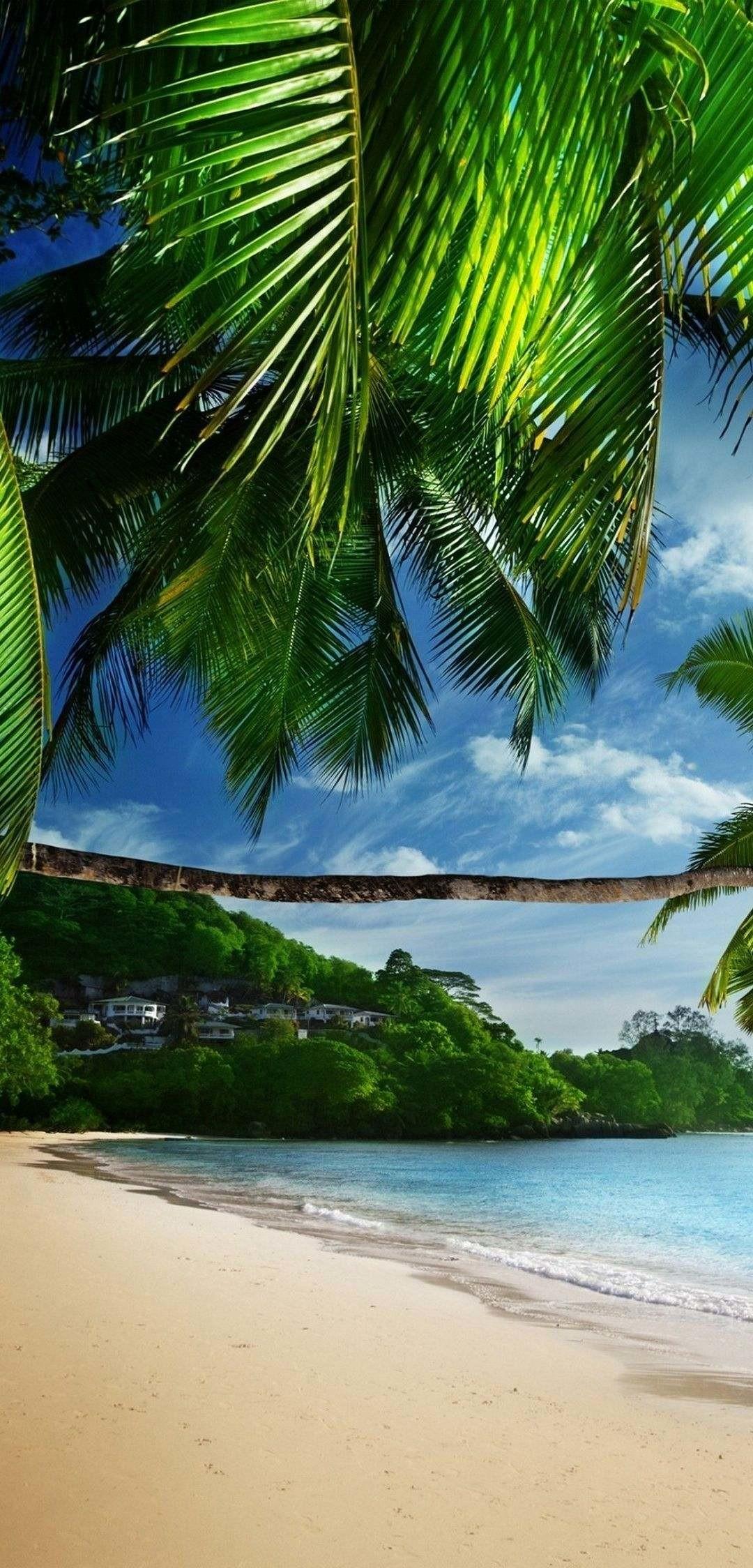 Tropical Beach Wallpaper