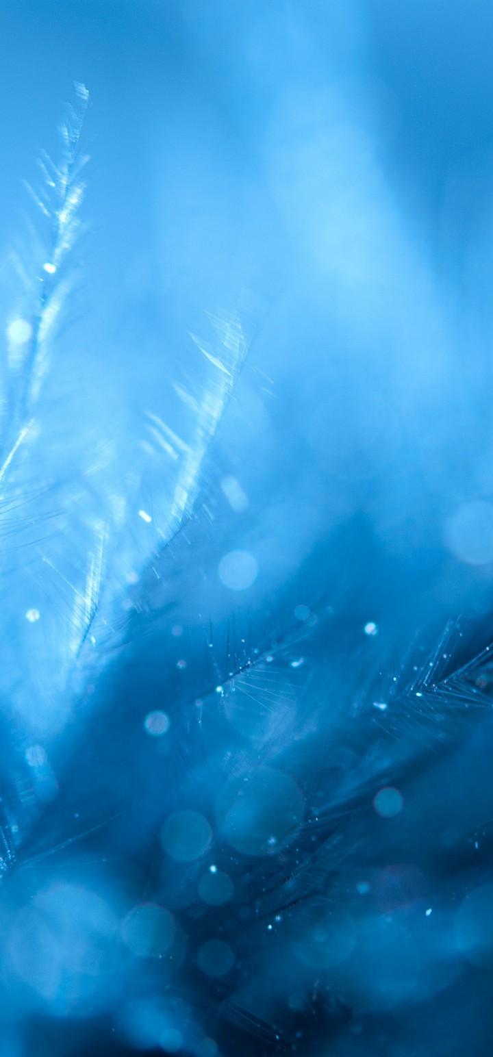 Feathers Close Up Blurred Wallpaper - [720x1544]