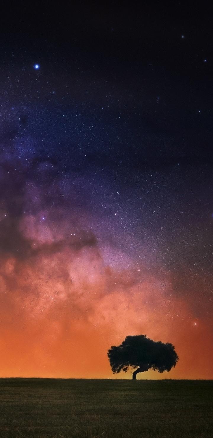 Starry Sky In Open Field 720x1480 Resolution Wallpaper, HD