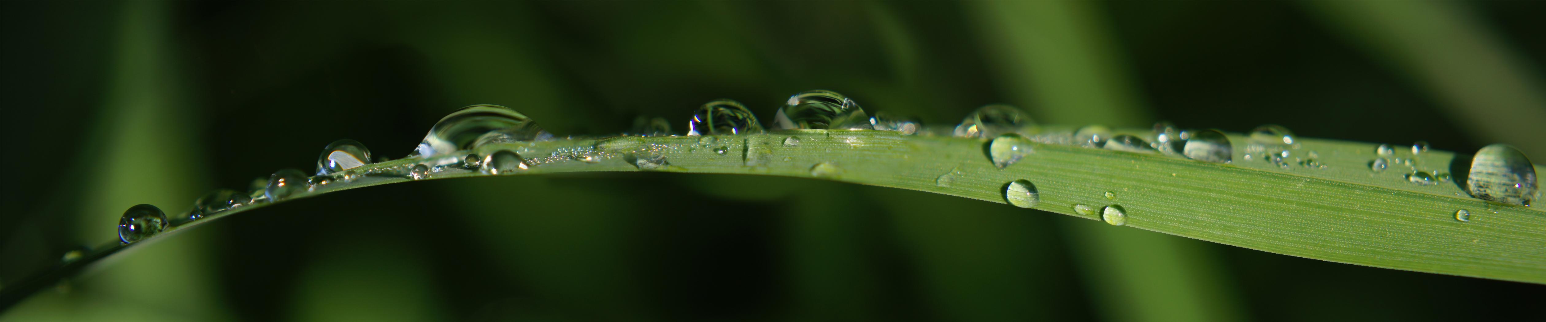 Water Drops Dual Screen Wallpaperx1050