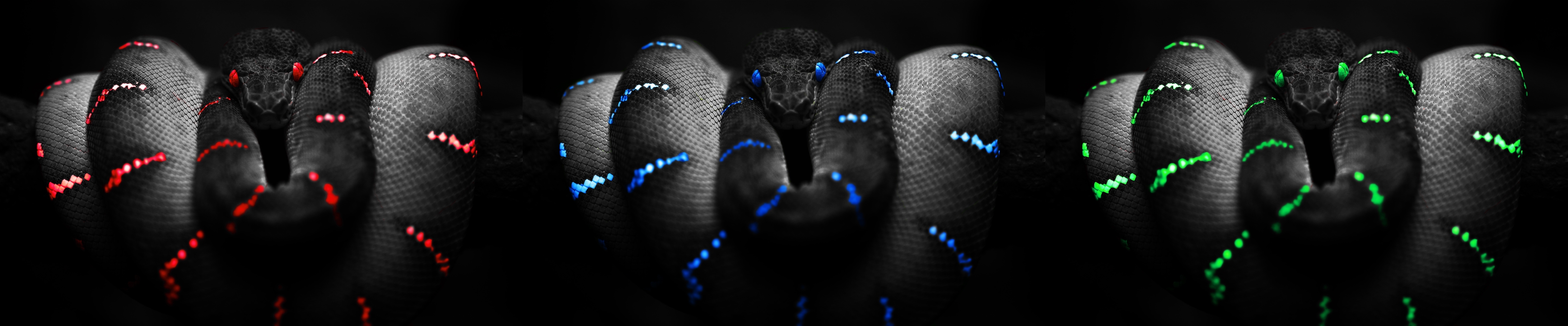 art rainbow of snakes 5040x1050 5040x1050 wallpaper High Quality