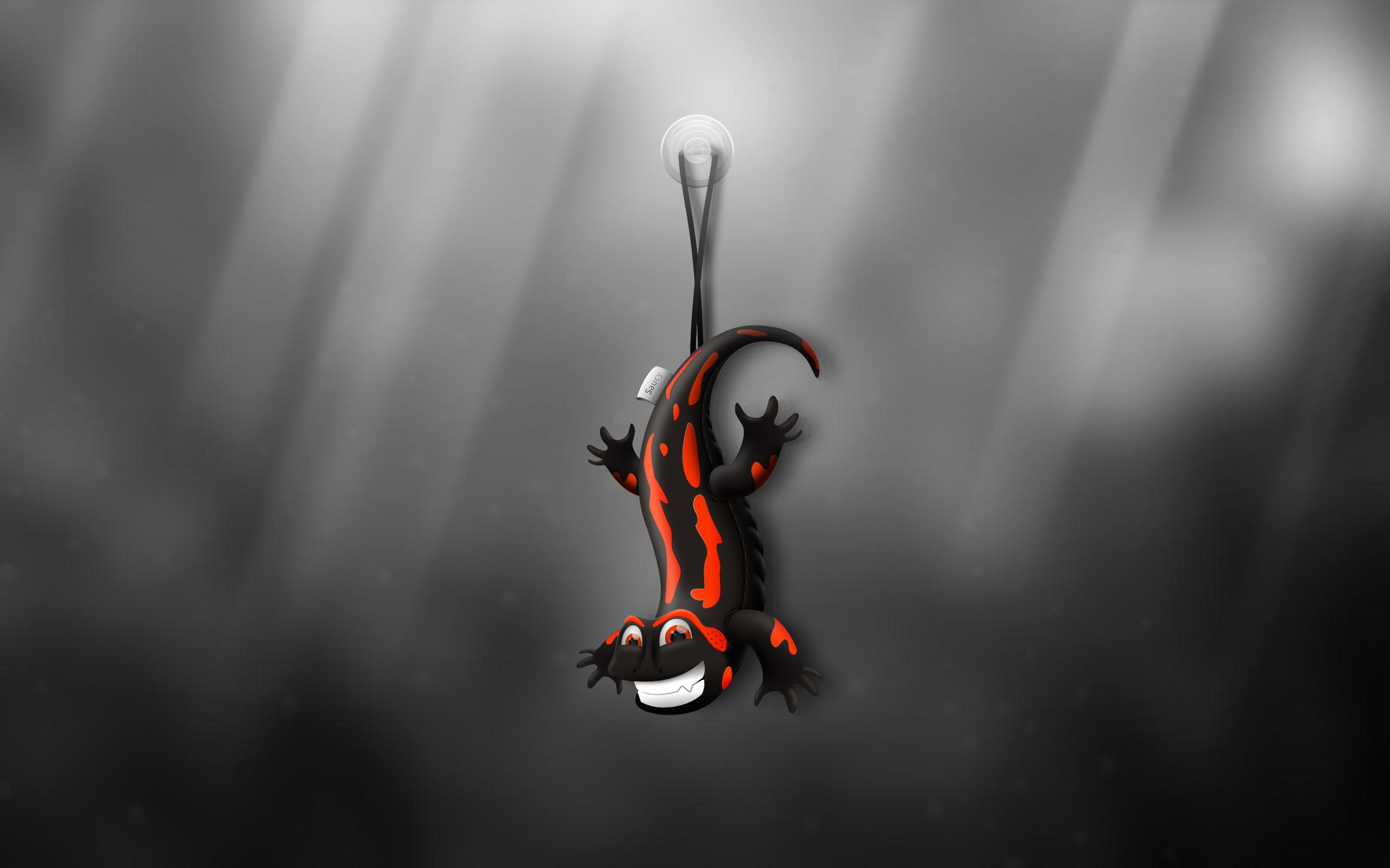 Salamander HD Wallpaper