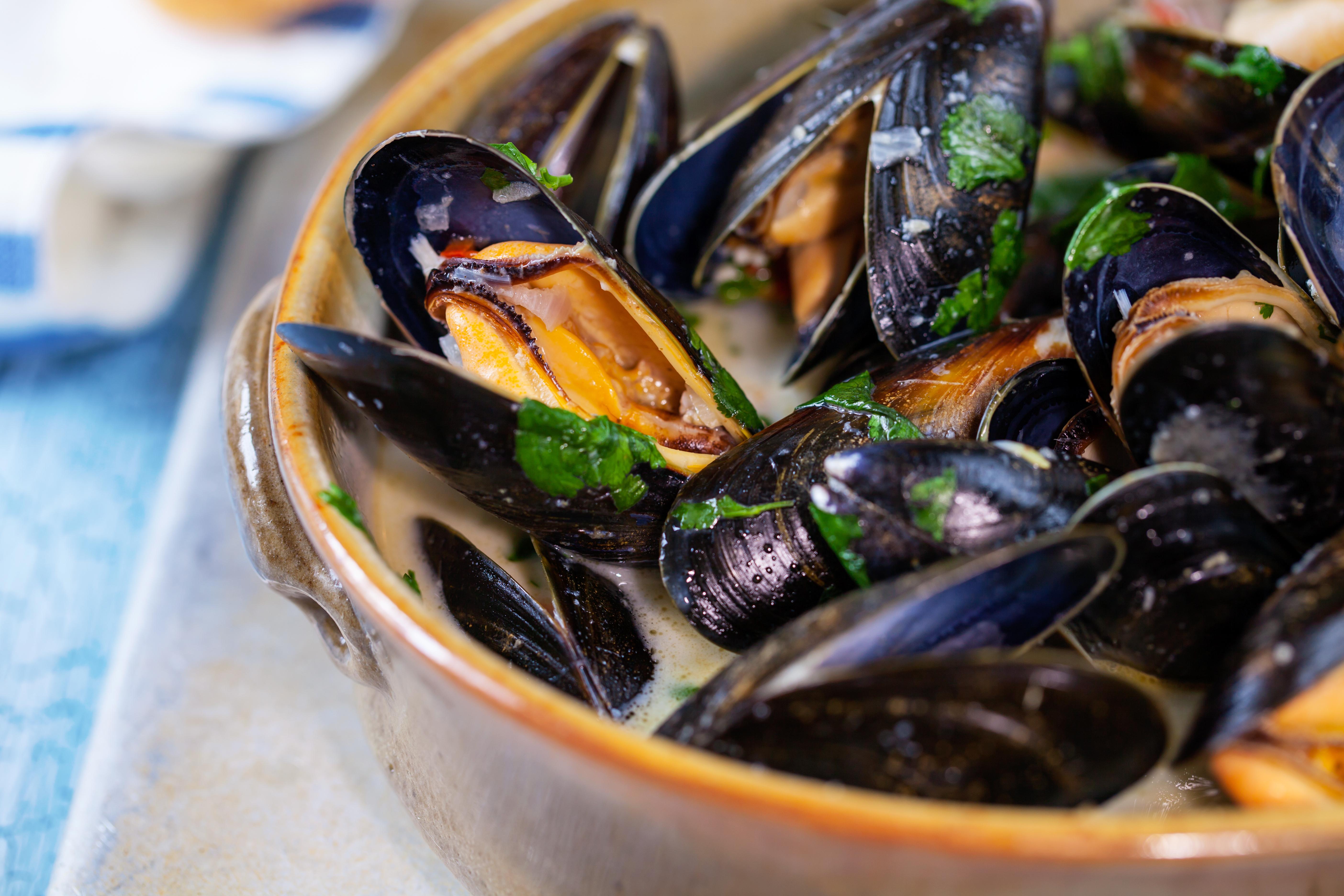 Mussels wallpaper, Food, HQ Mussels pictureK