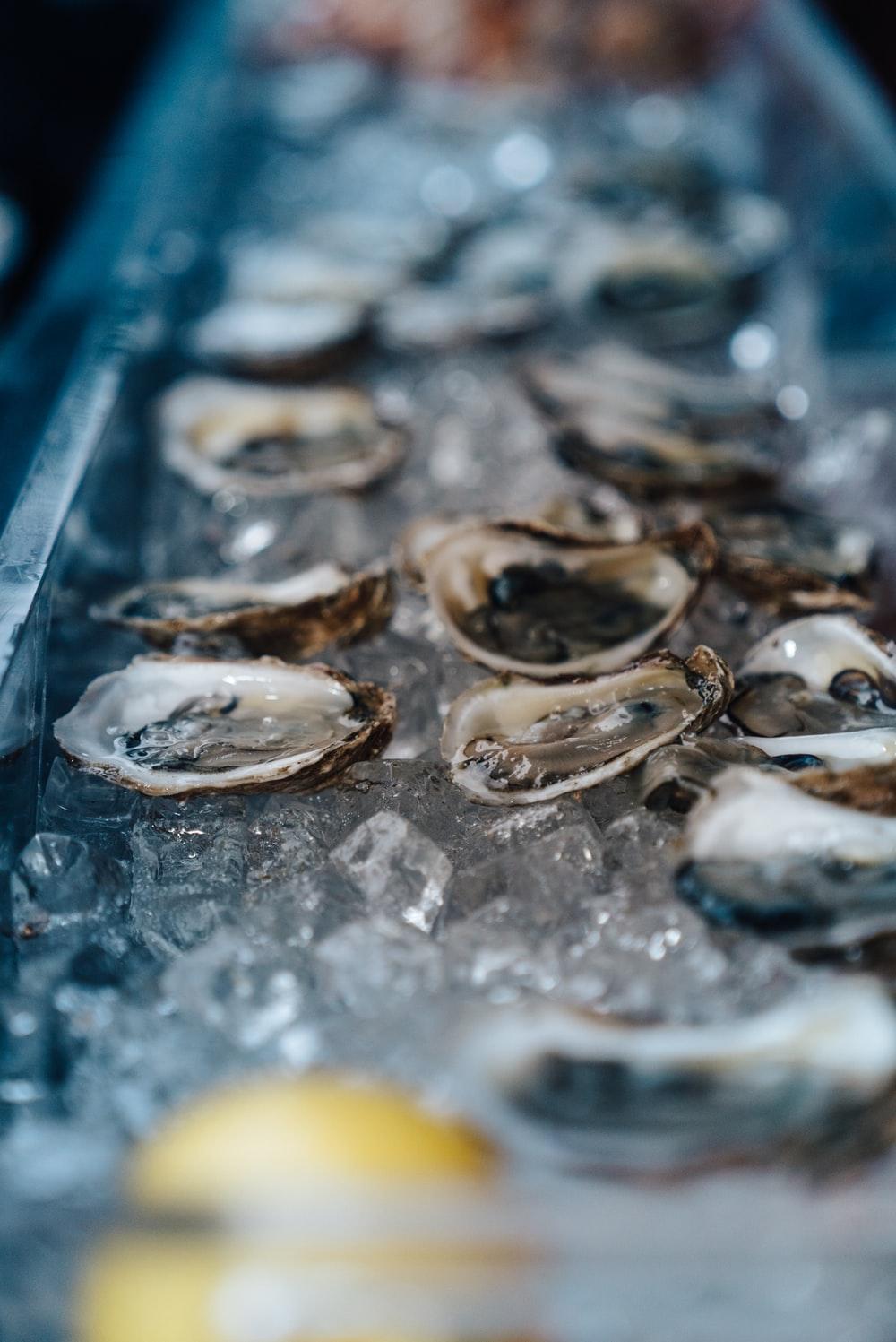 shallow focus photography of oysters on bowl photo