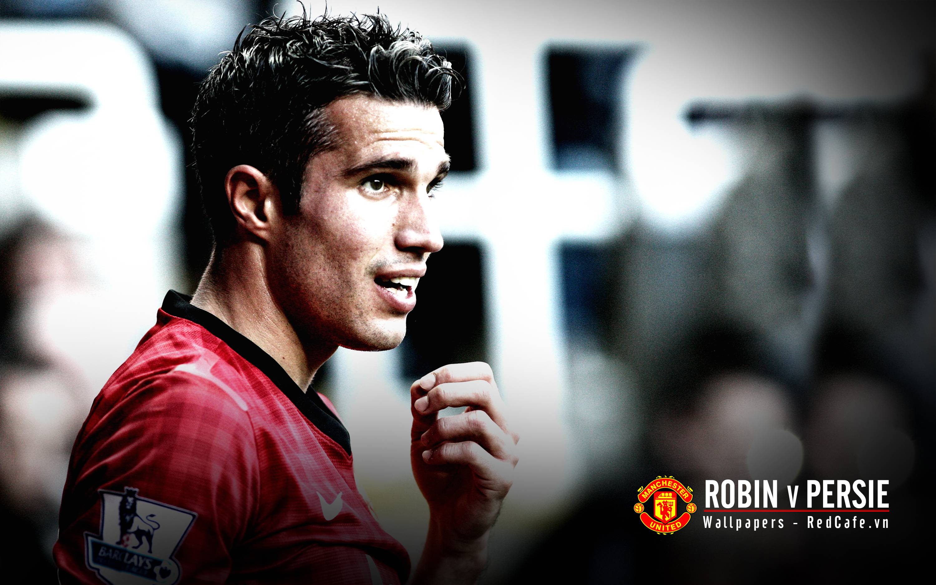 Robin Van Persie. Wallpaper HD free Download