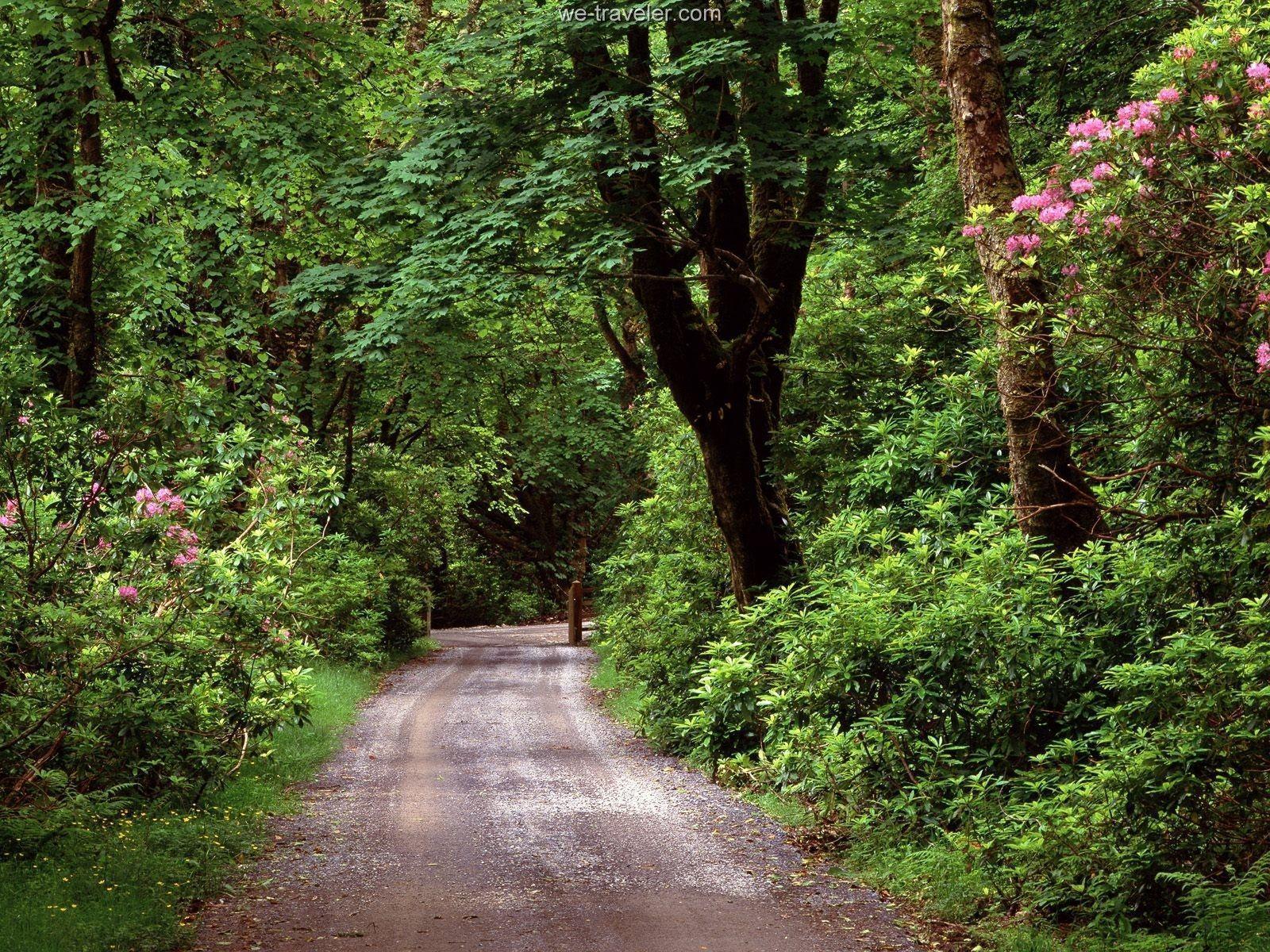 Ireland Photo Gallery, Wallpaper