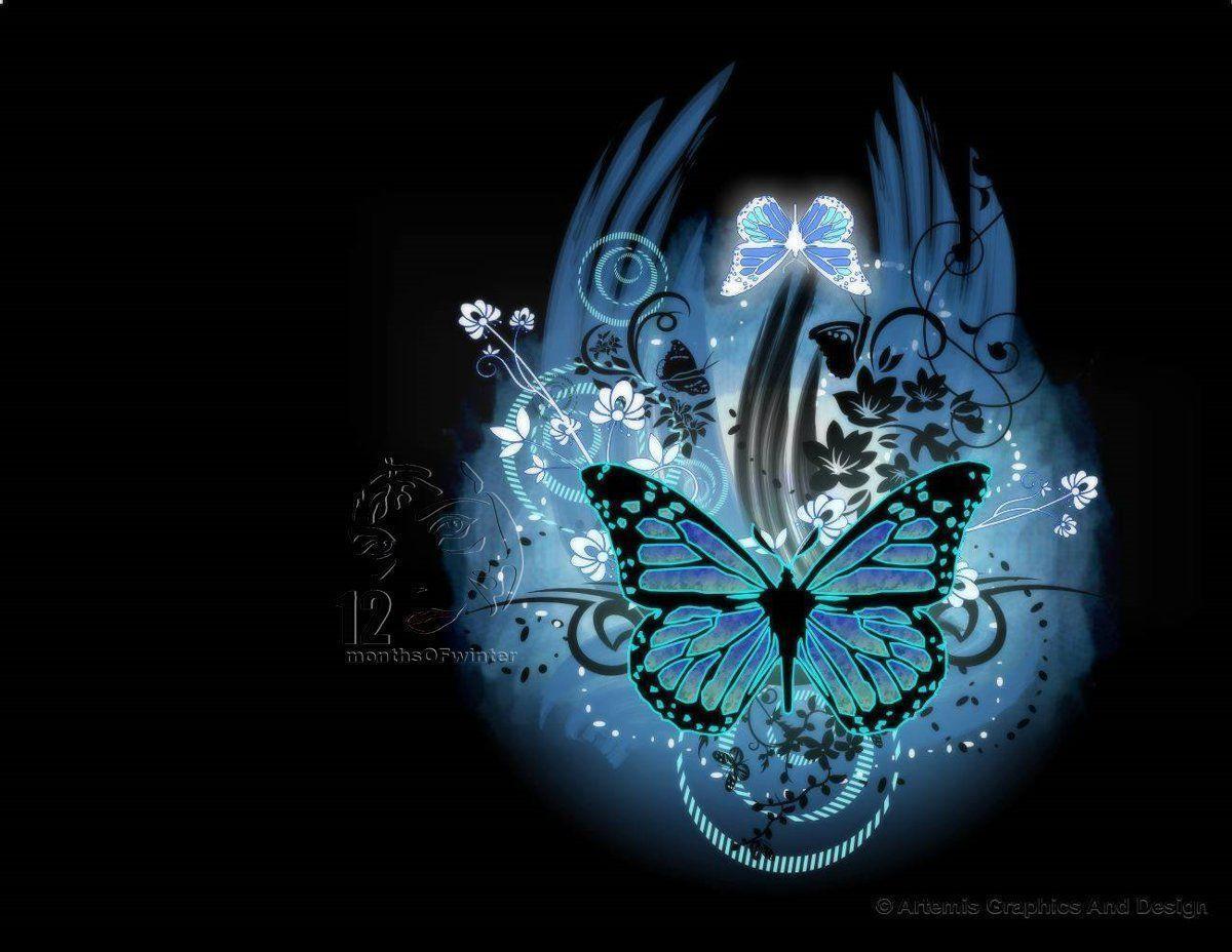 Most Beautiful Butterflies Wallpaper colorfull deskop background