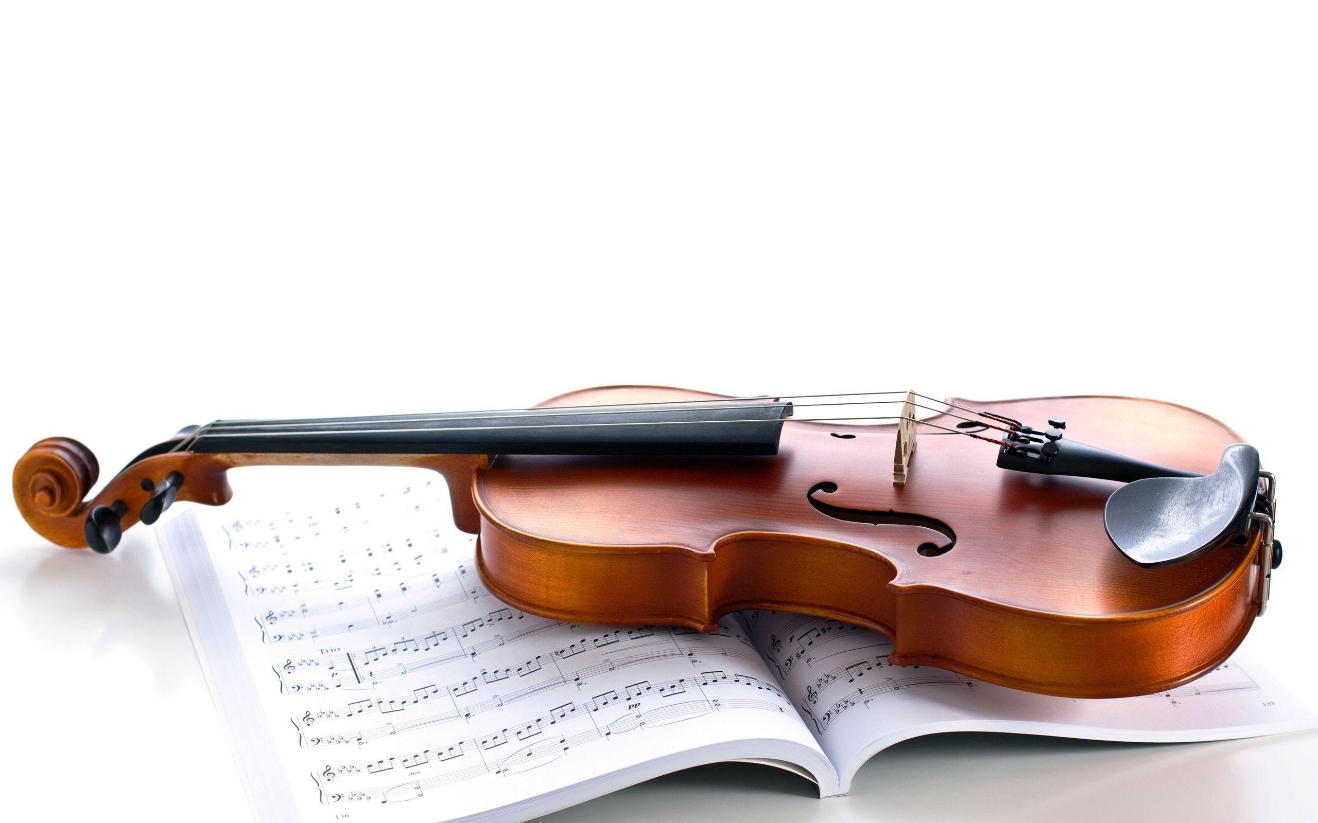 Violin Photo, High Definition, High Quality, Widescreen