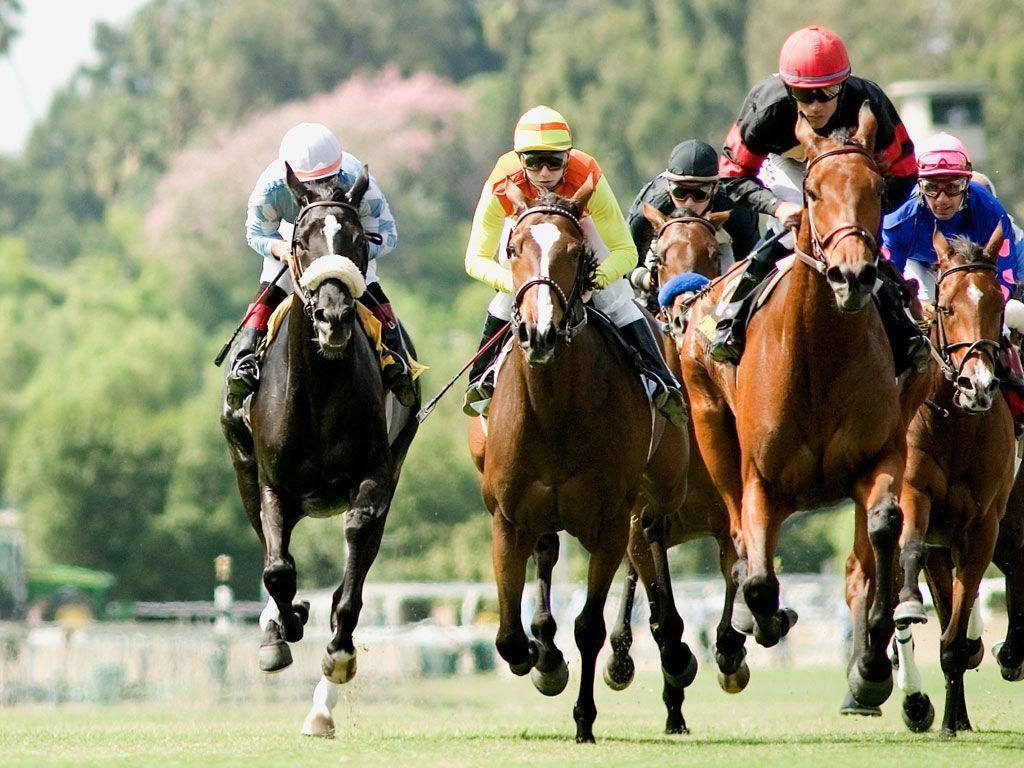 Amazing And Dashing Horse Racing Wallpaper In HD