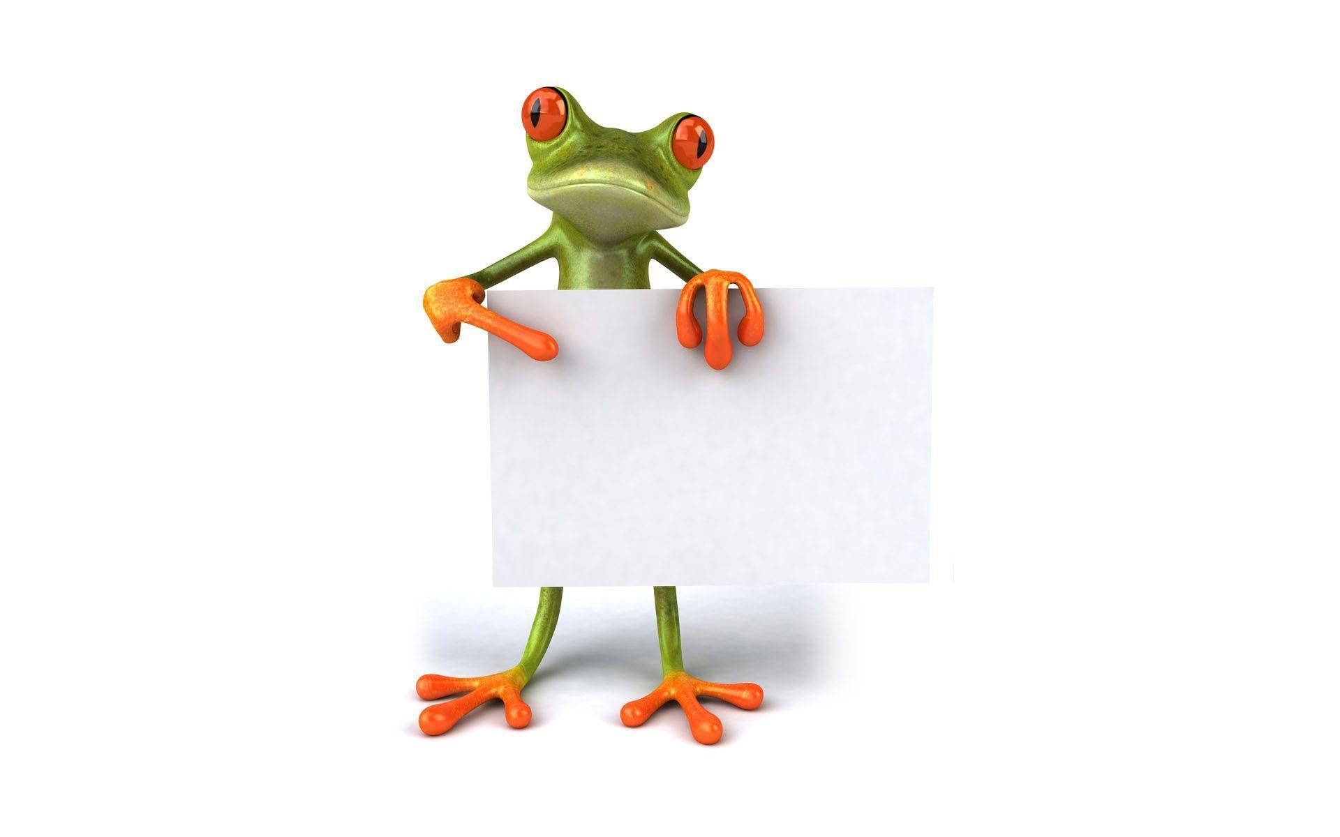 Free frog 3D wallpaper for desktop Wallpaper Wallpaper 81222